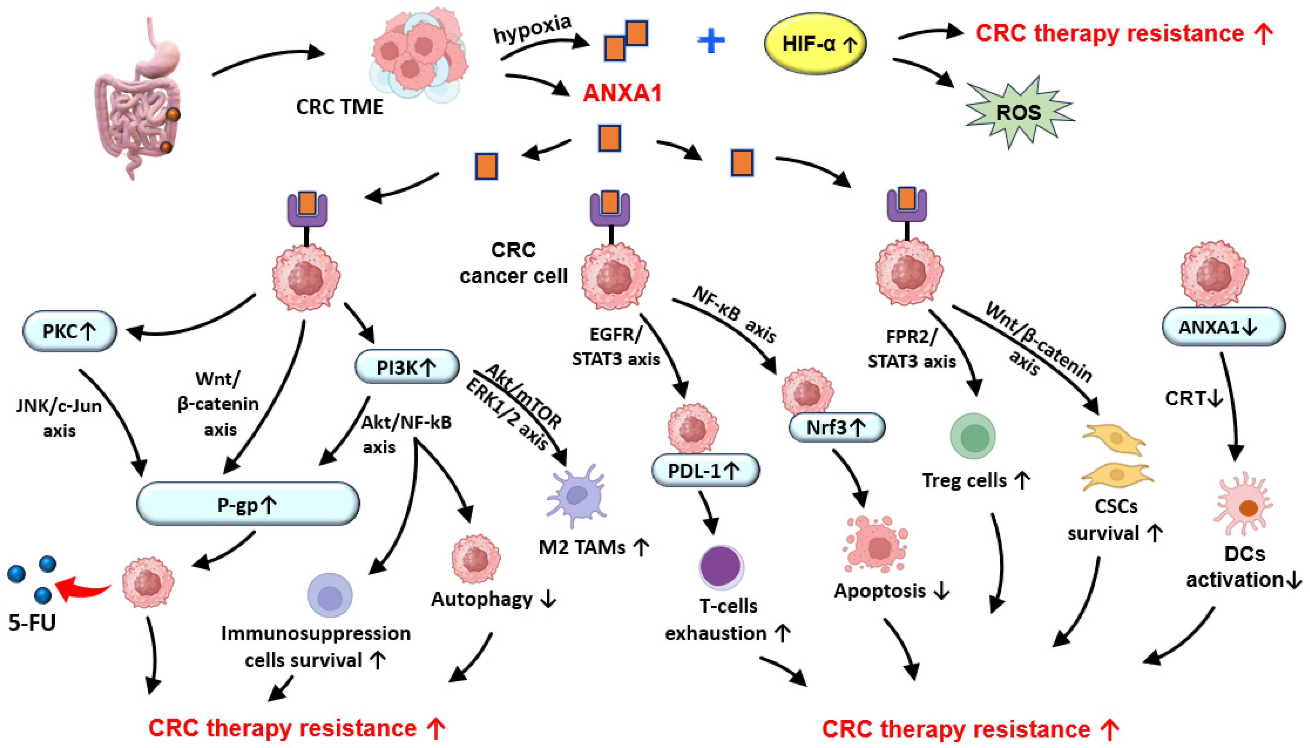 Medsci 13 00263 g002