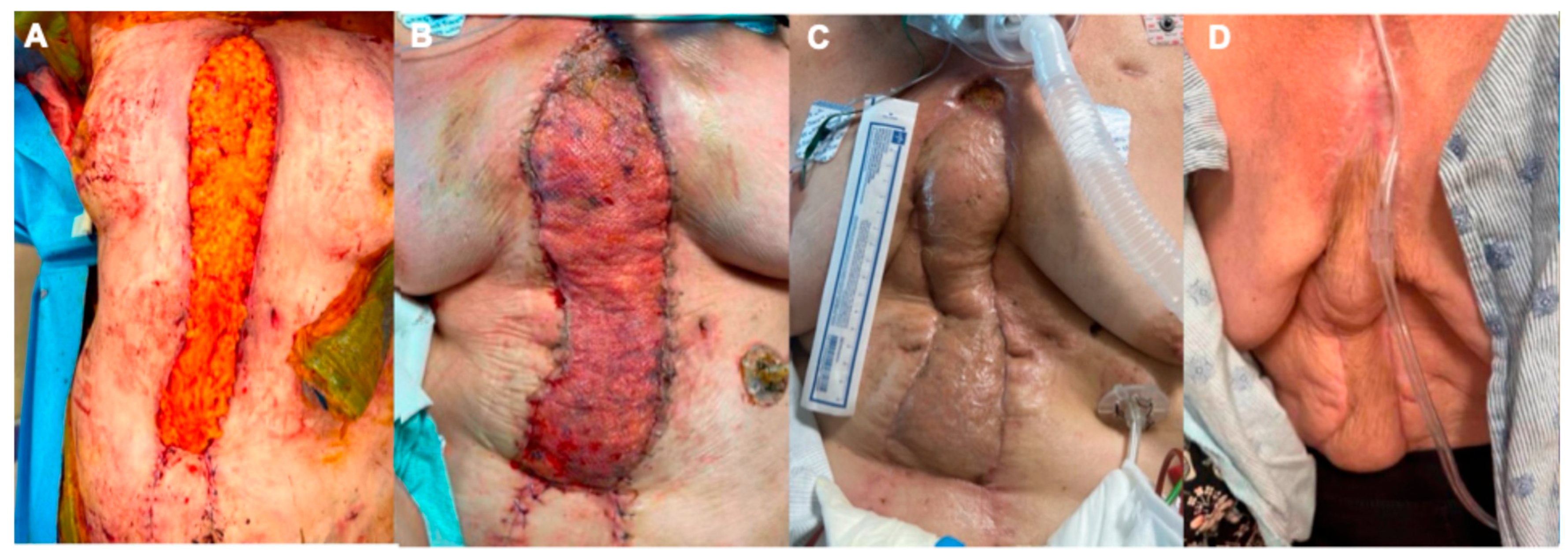 Medsci 13 00264 g004