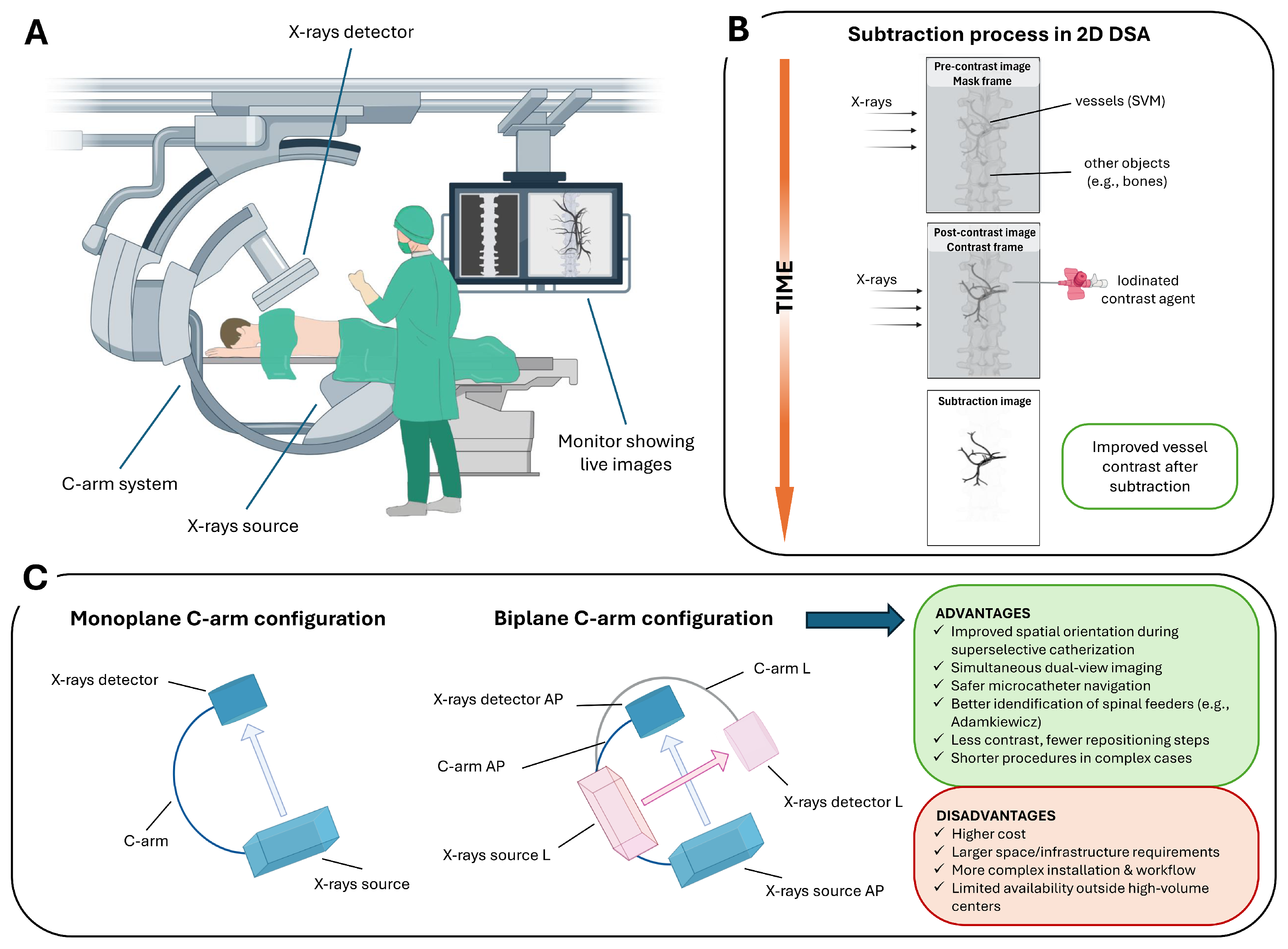Medsci 13 00266 g001