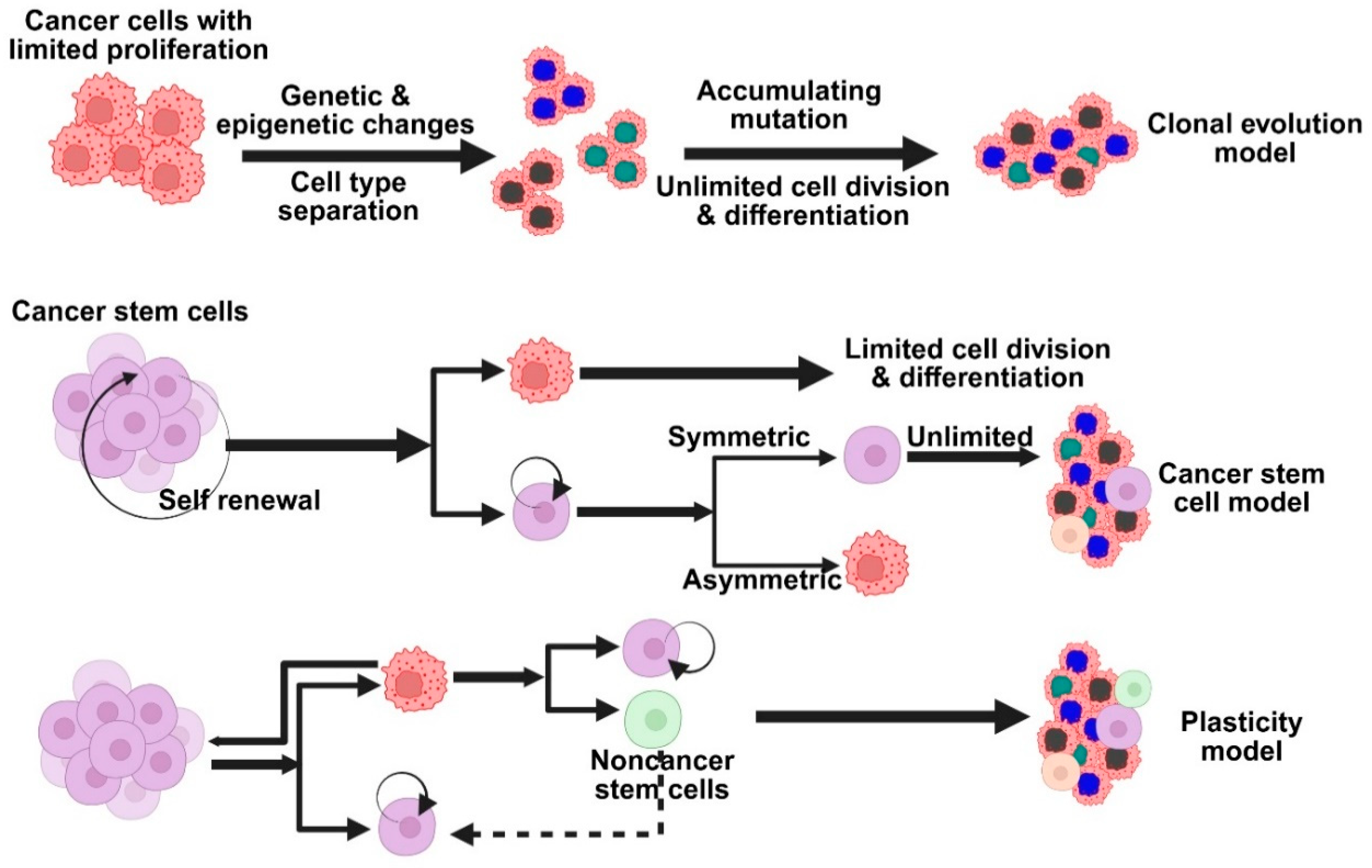 Medsci 13 00275 g002