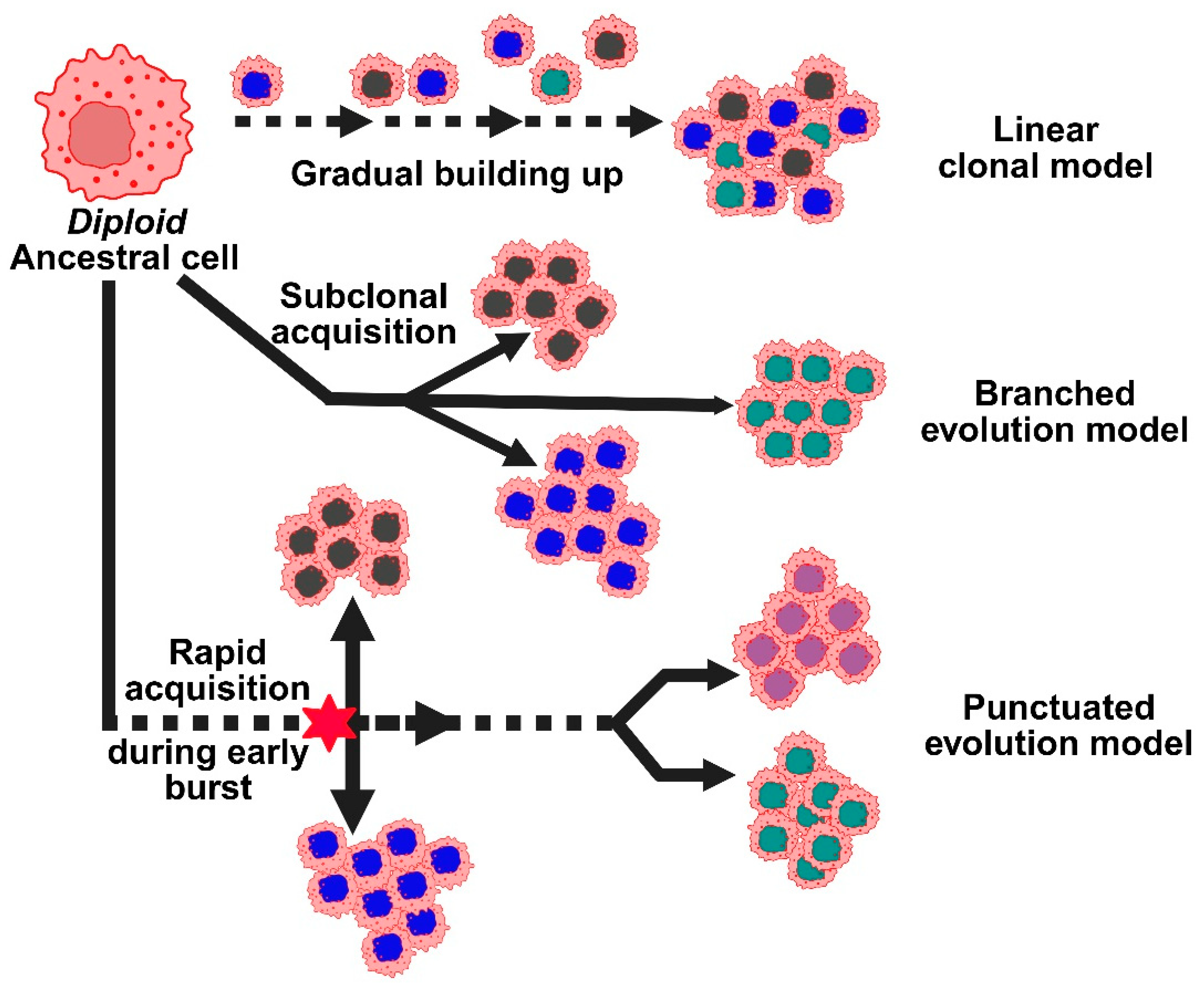 Medsci 13 00275 g003