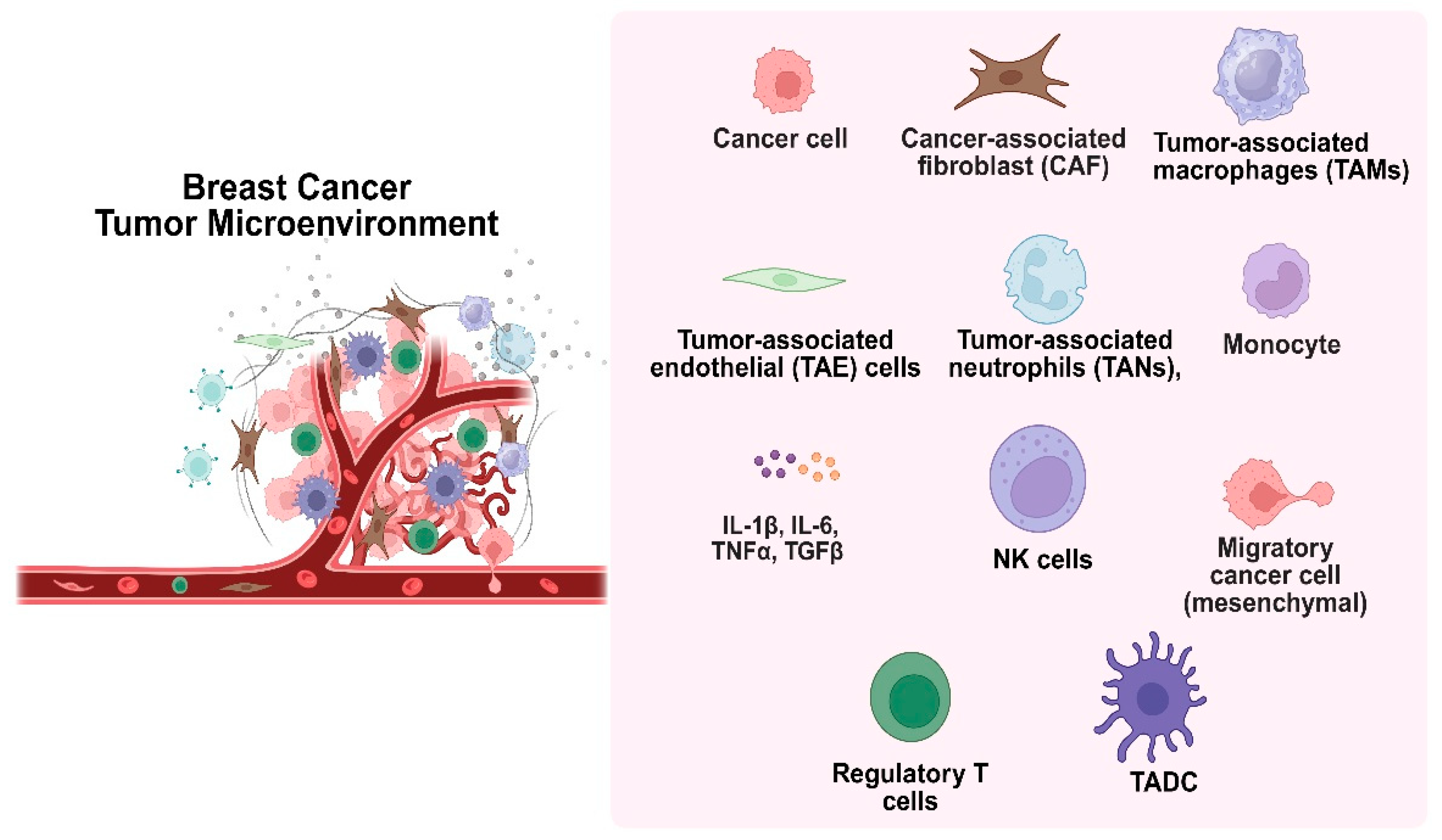 Medsci 13 00275 g004