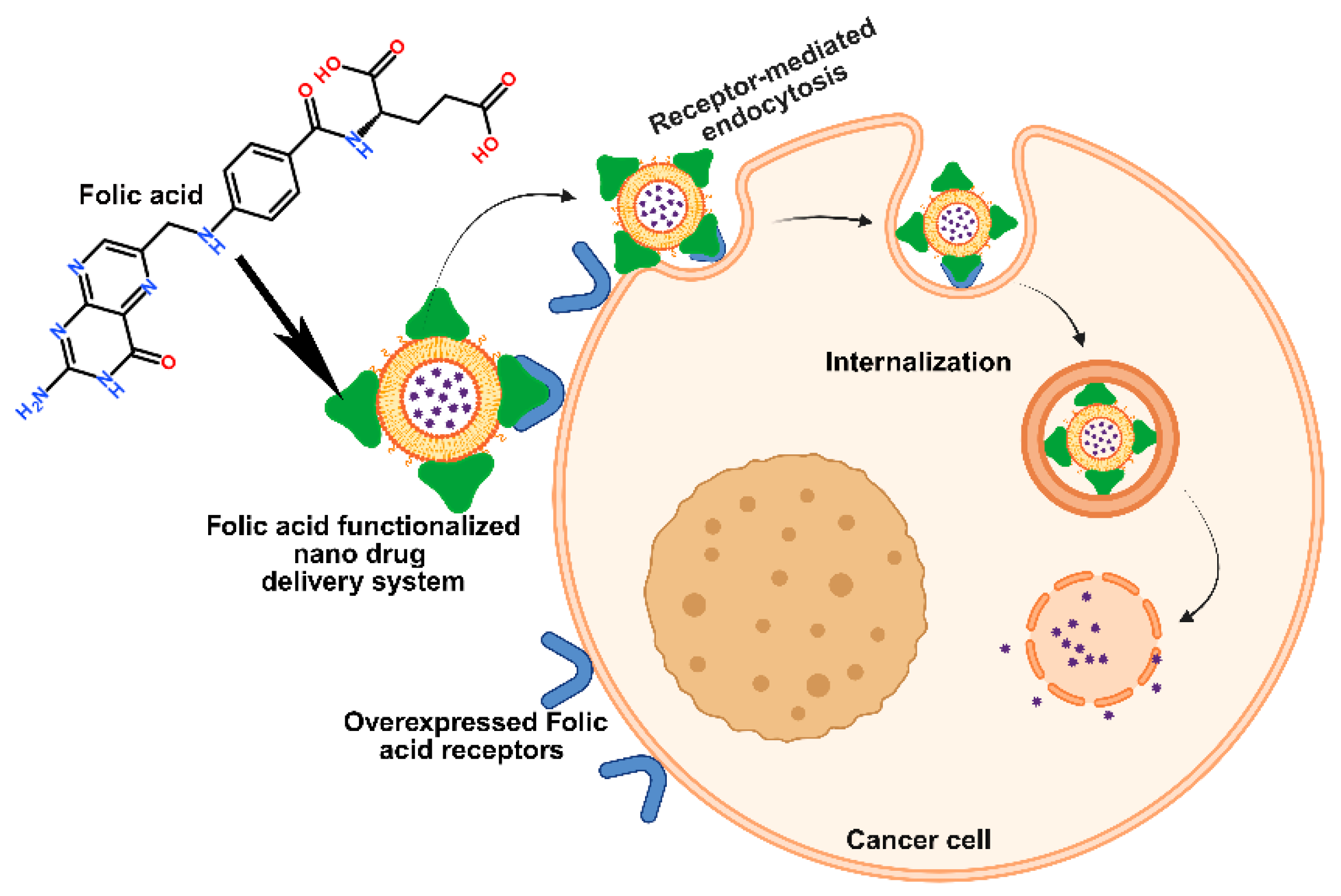 Medsci 13 00275 g006