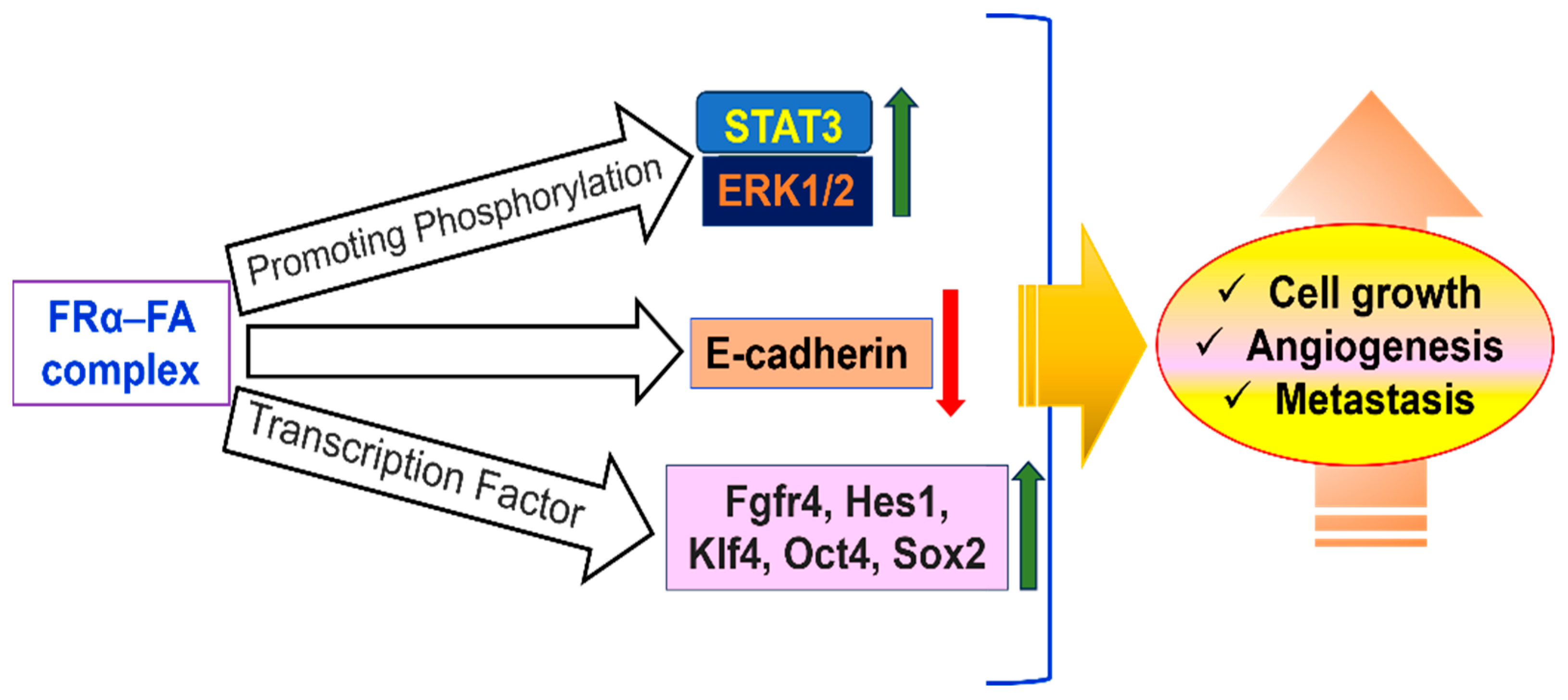 Medsci 13 00275 g008