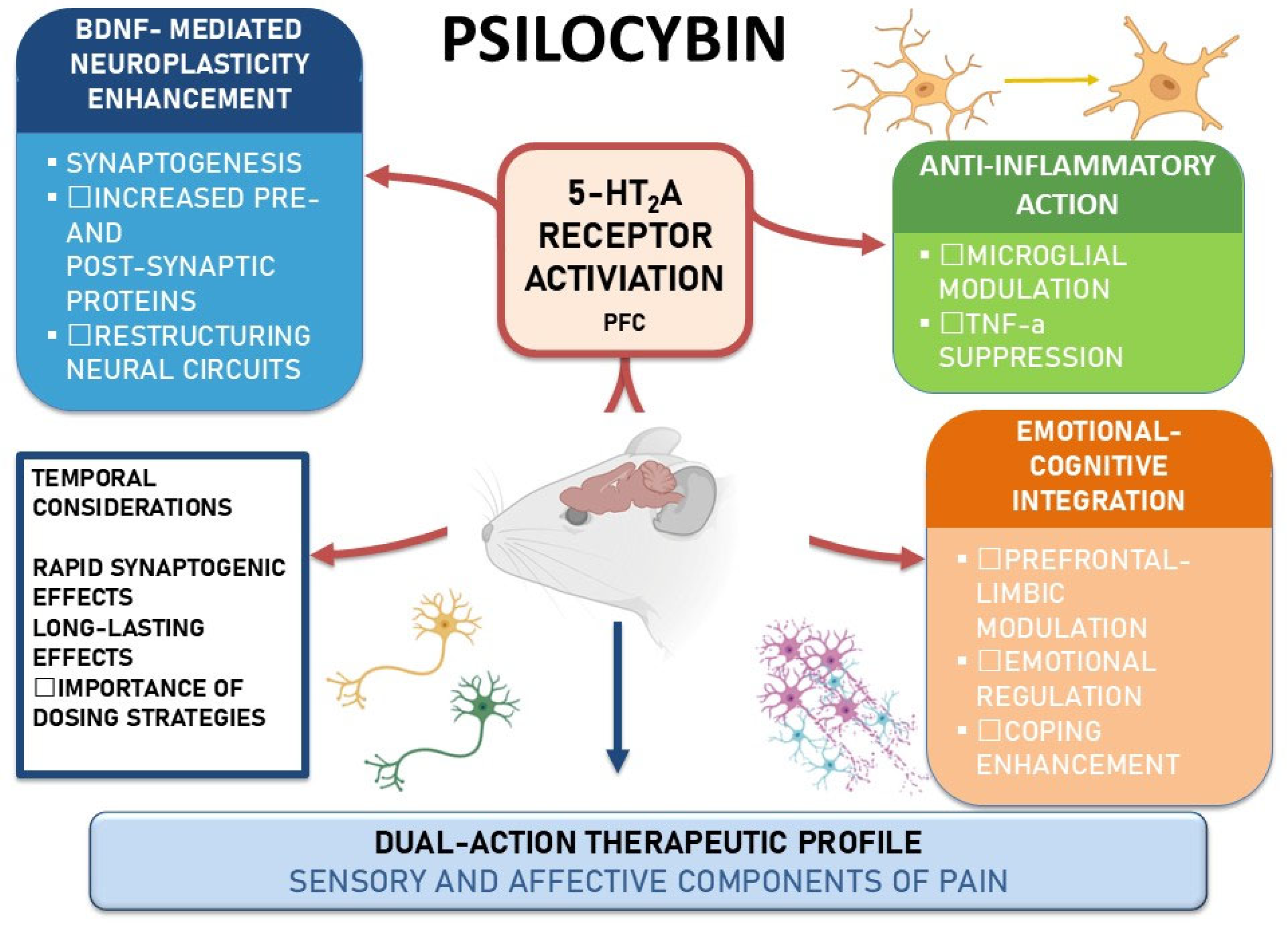 Medsci 13 00277 g001