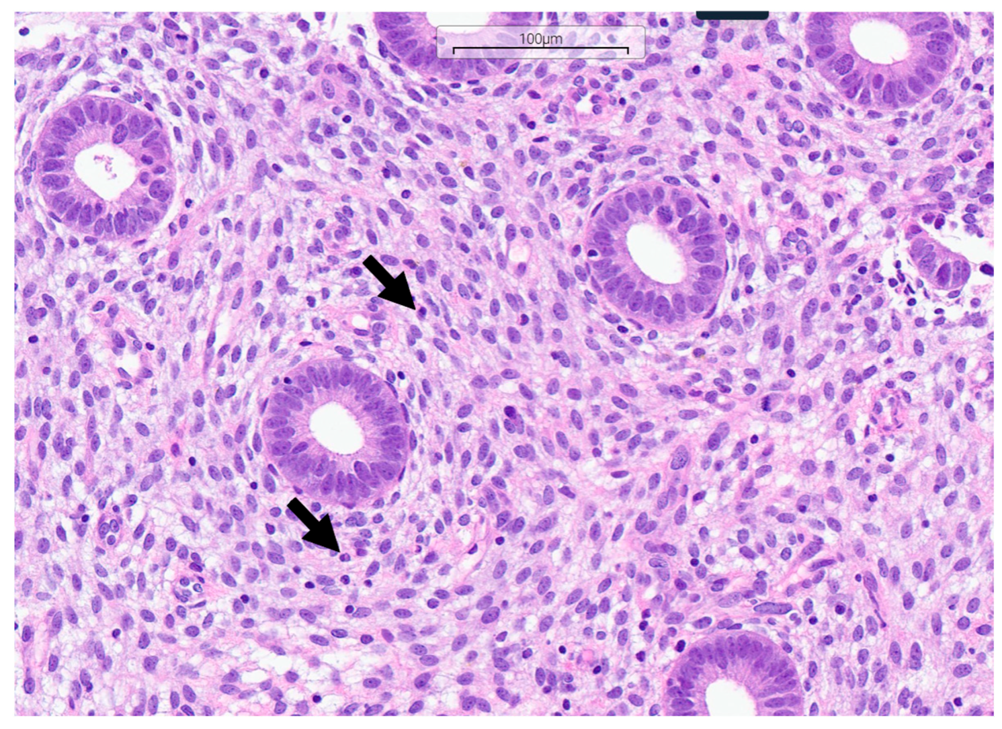 Medsci 13 00278 g001