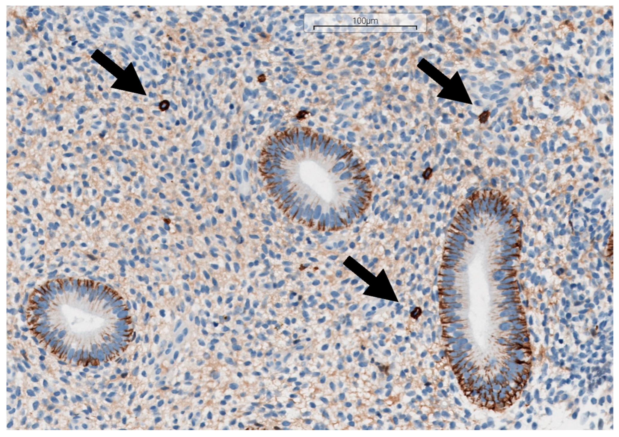 Medsci 13 00278 g002