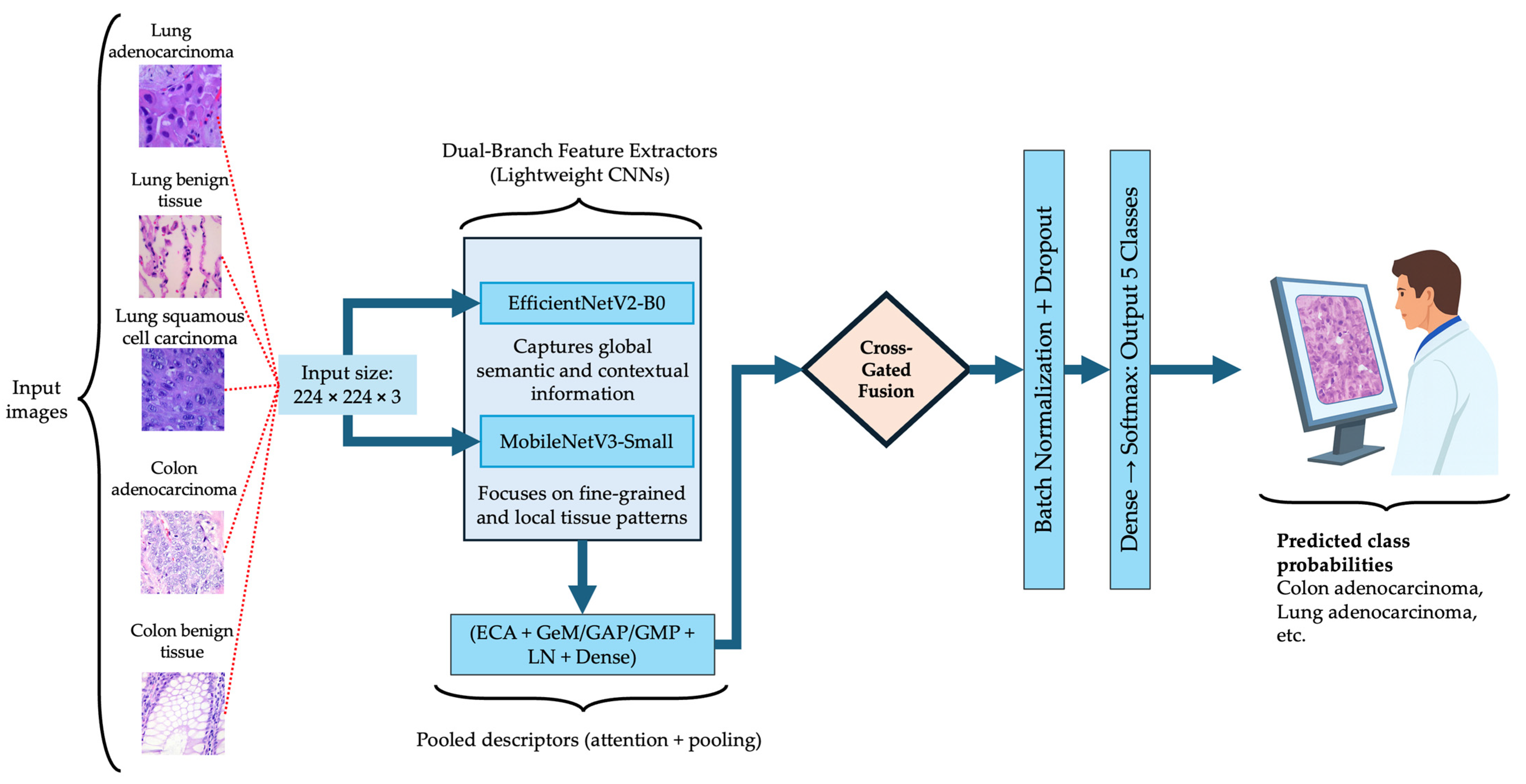 Medsci 13 00286 g002