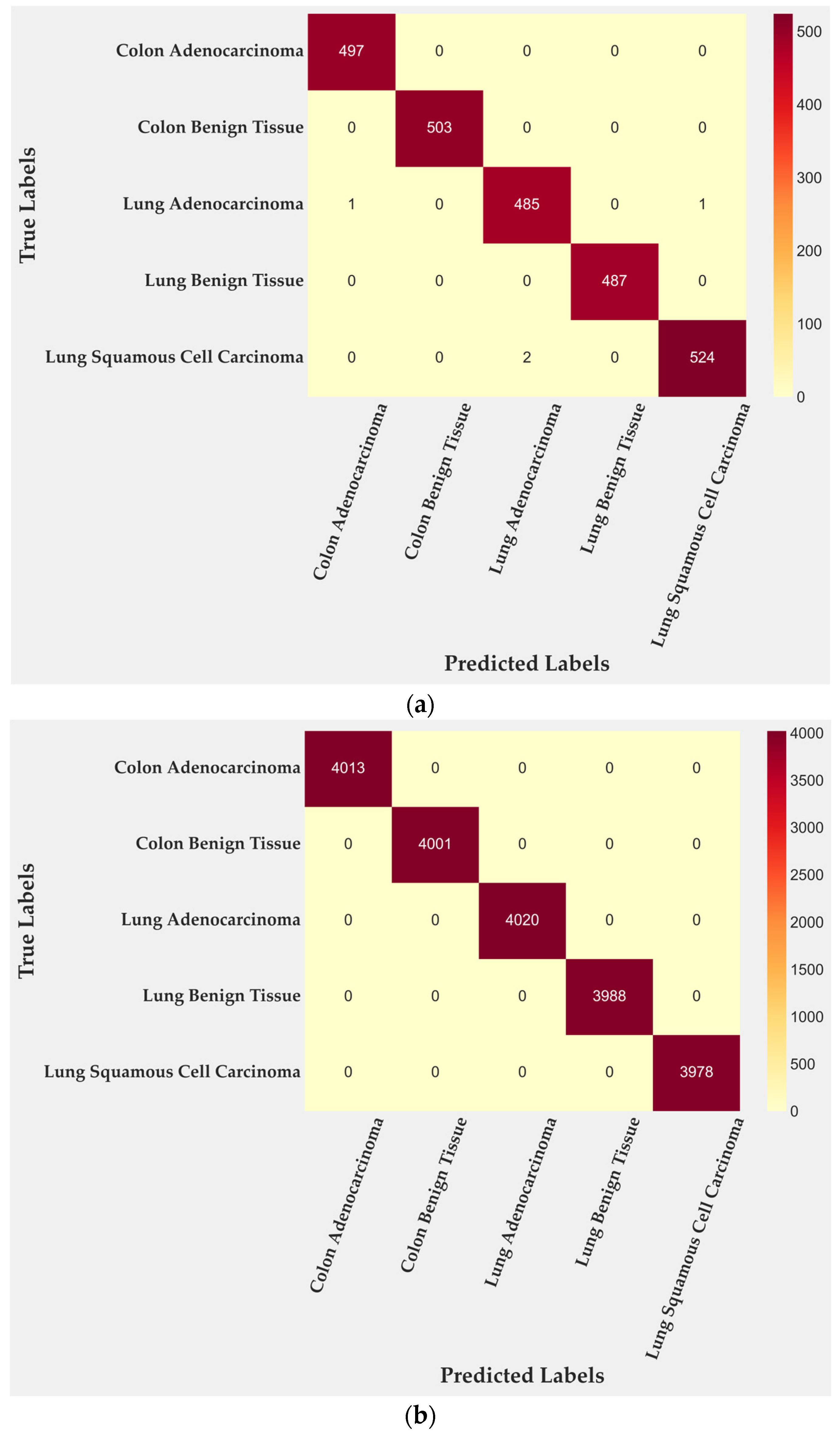 Medsci 13 00286 g003a
