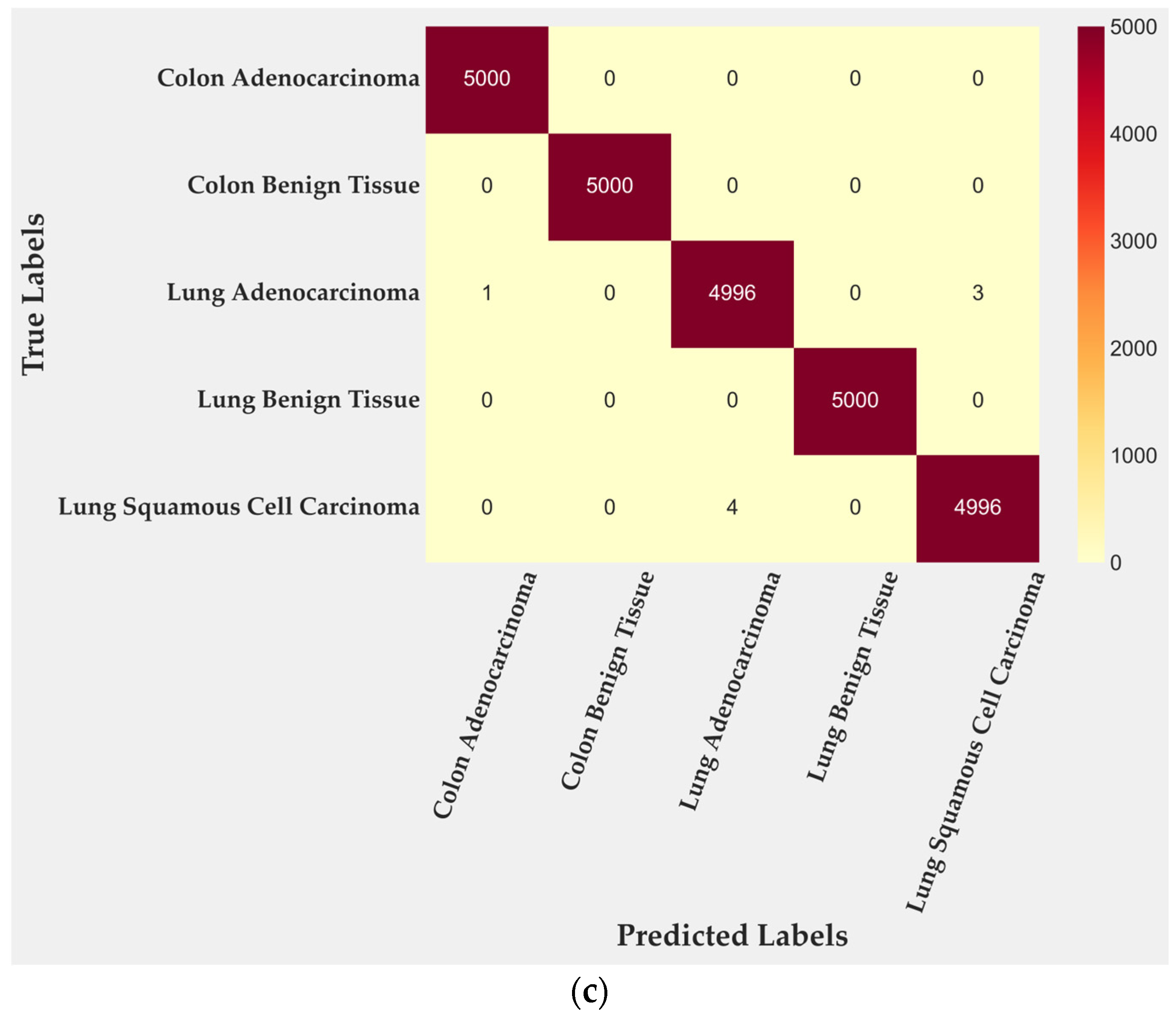 Medsci 13 00286 g003b