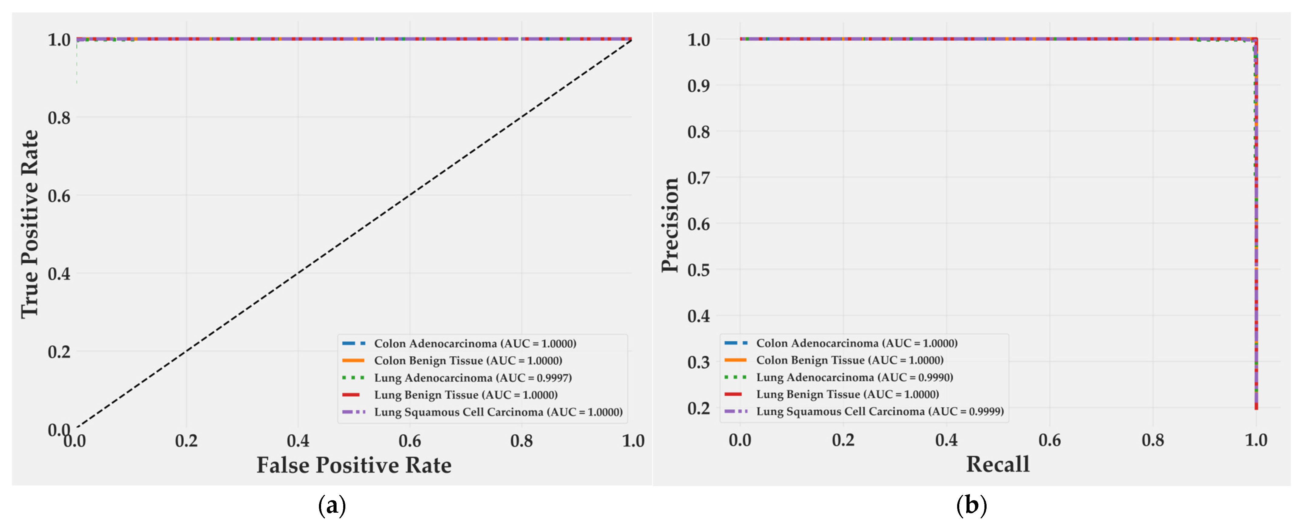 Medsci 13 00286 g006
