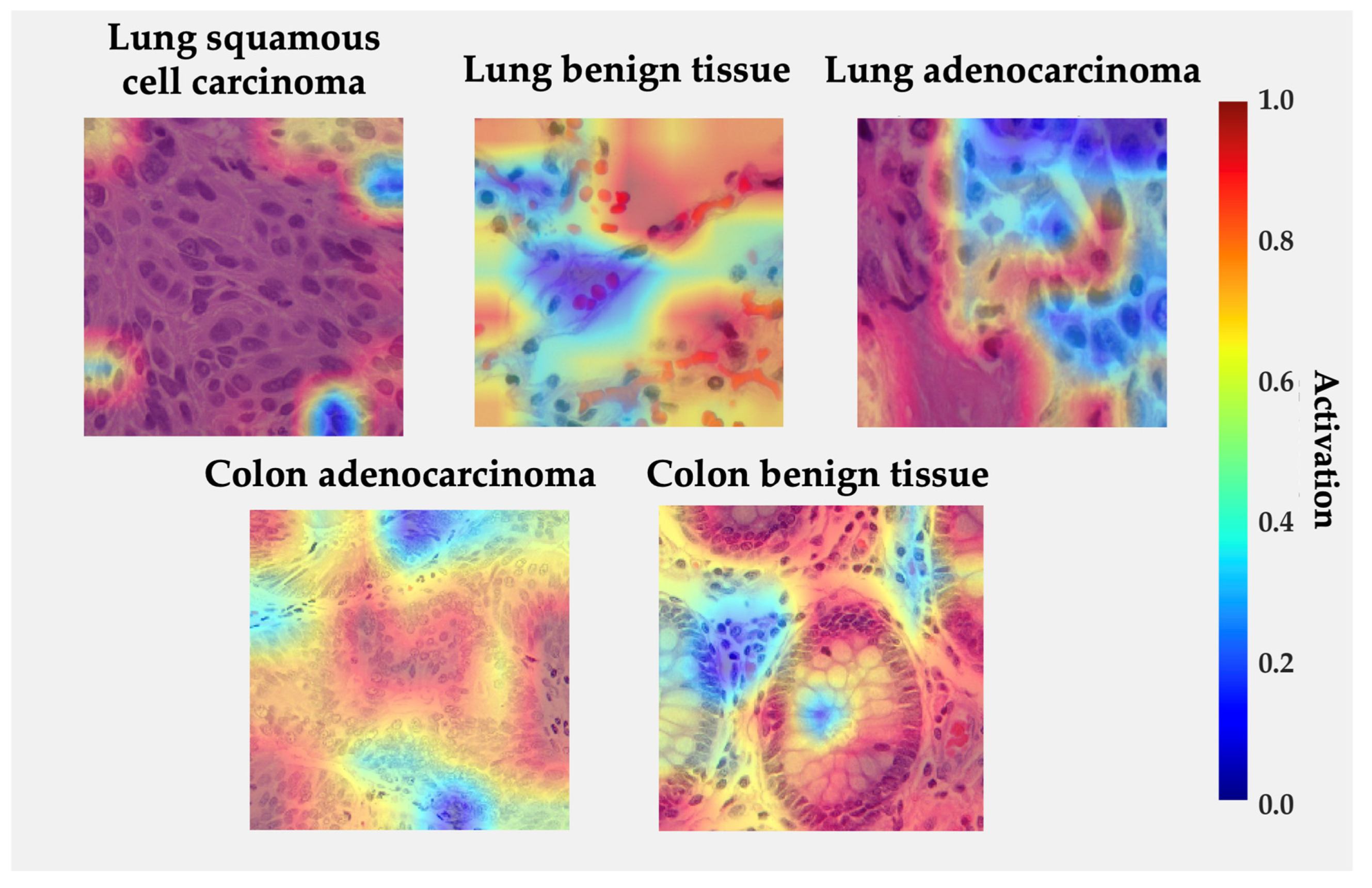 Medsci 13 00286 g007