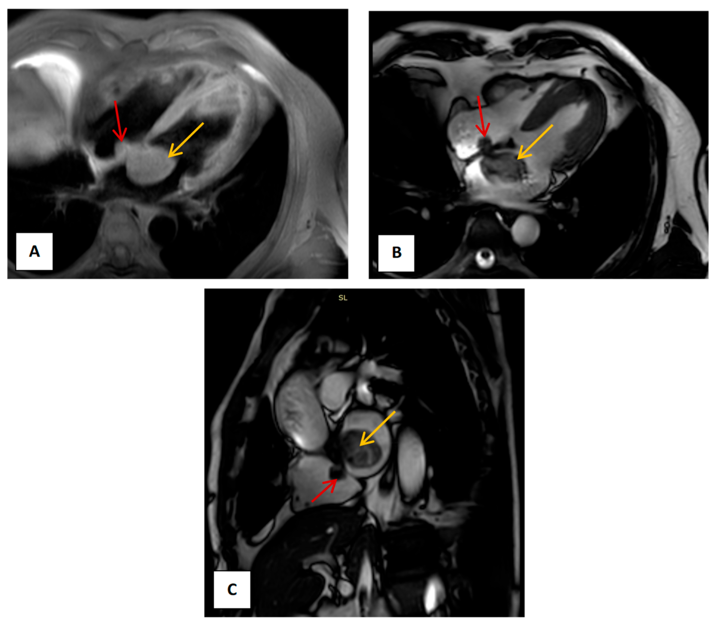 Medsci 13 00294 g001