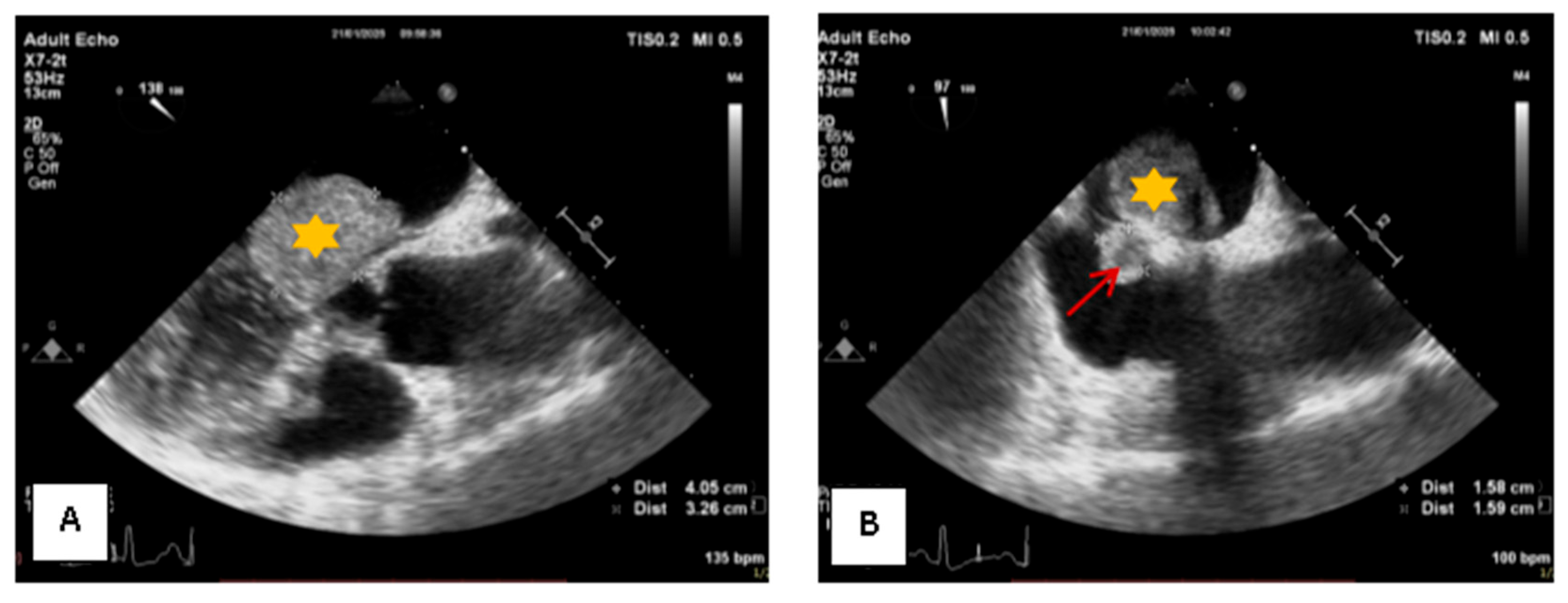 Medsci 13 00294 g002