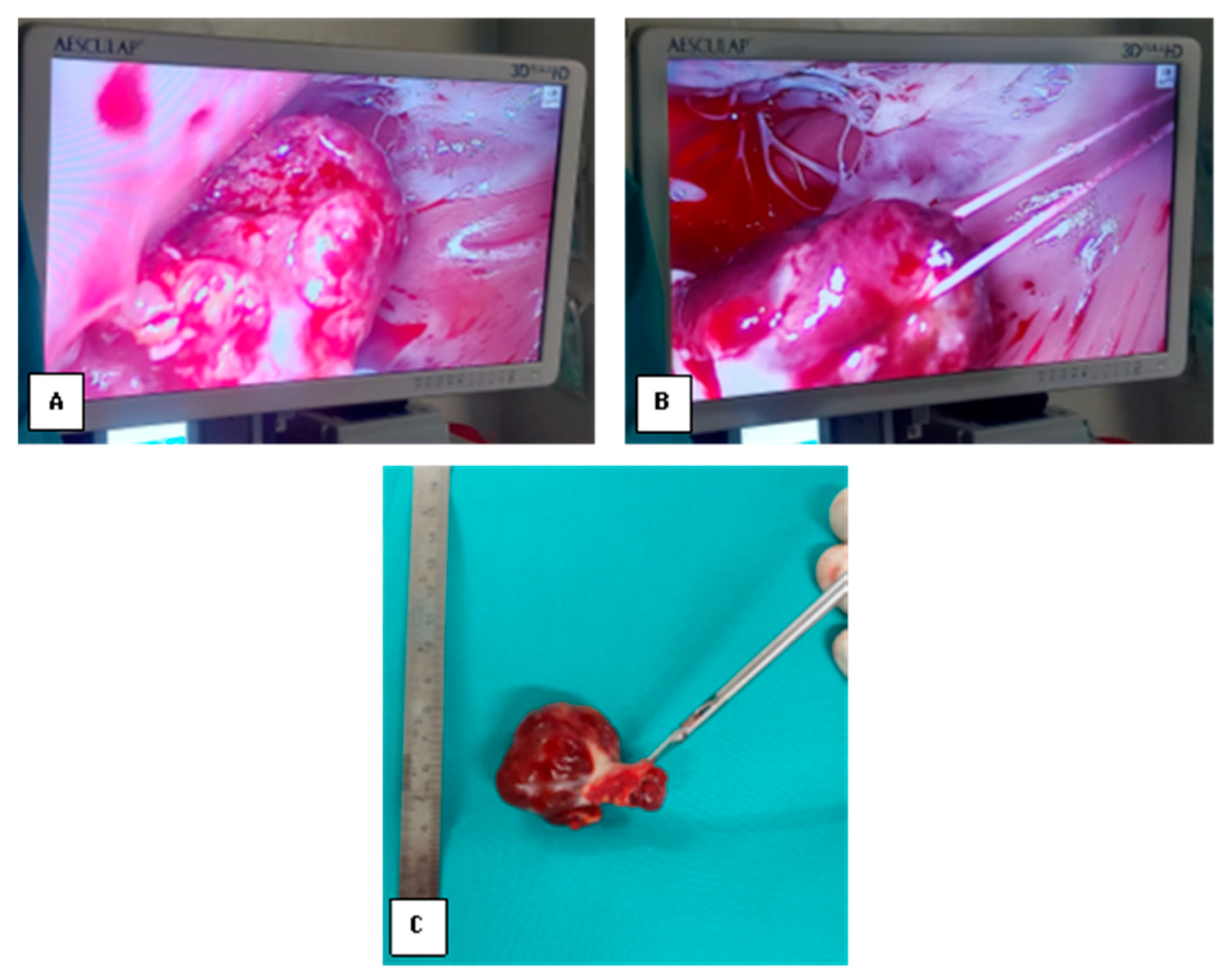 Medsci 13 00294 g003