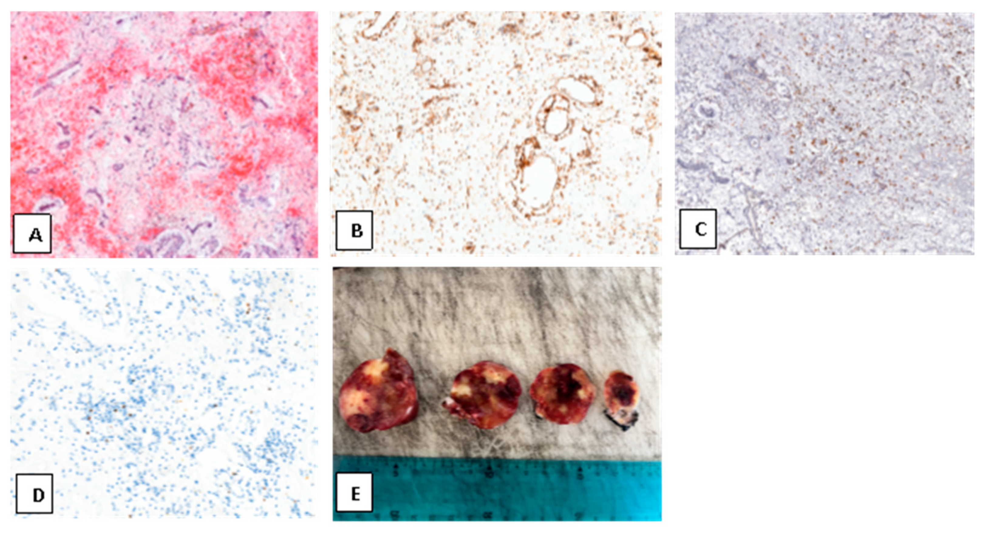 Medsci 13 00294 g004