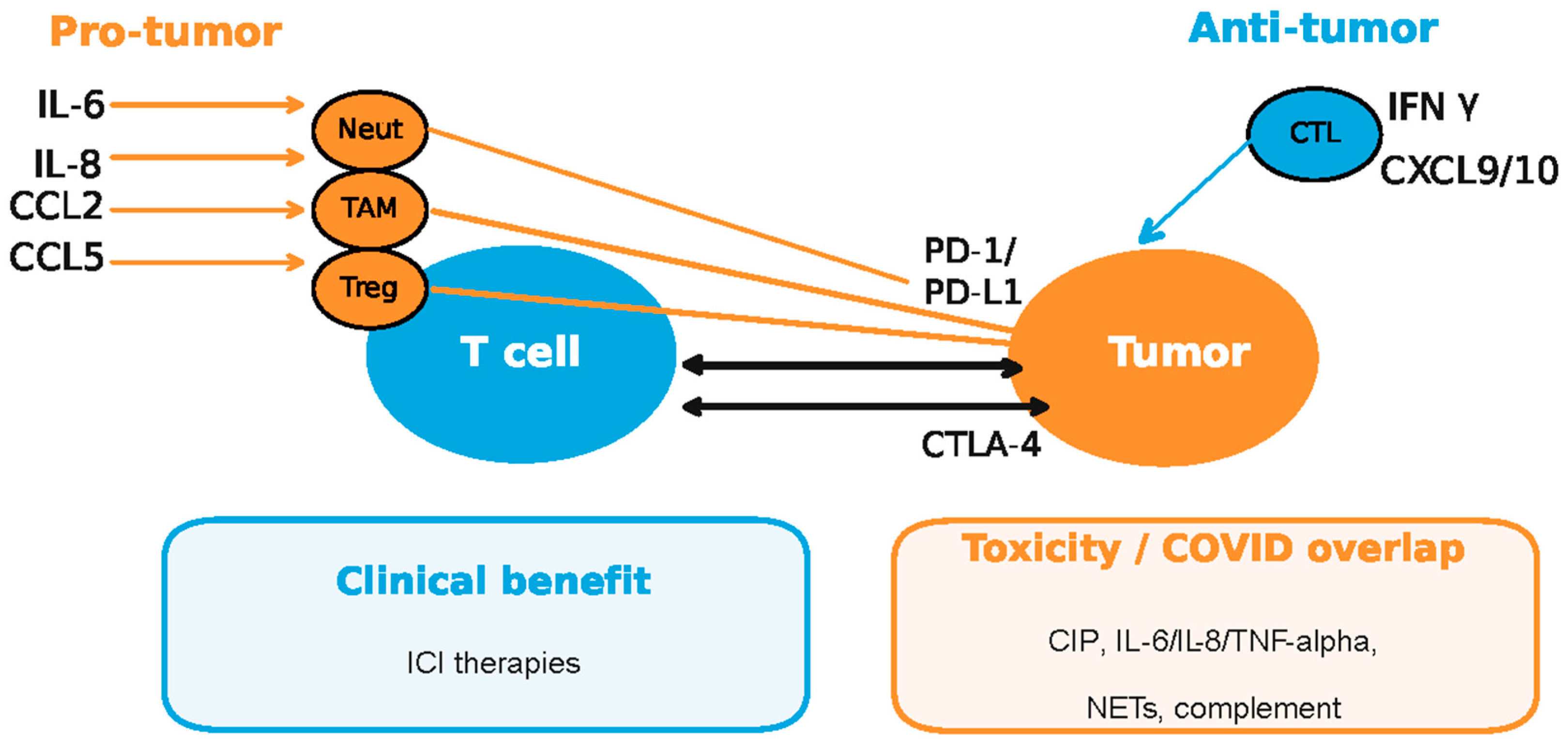 Medsci 13 00295 g005 Medsci 13 00295 g005