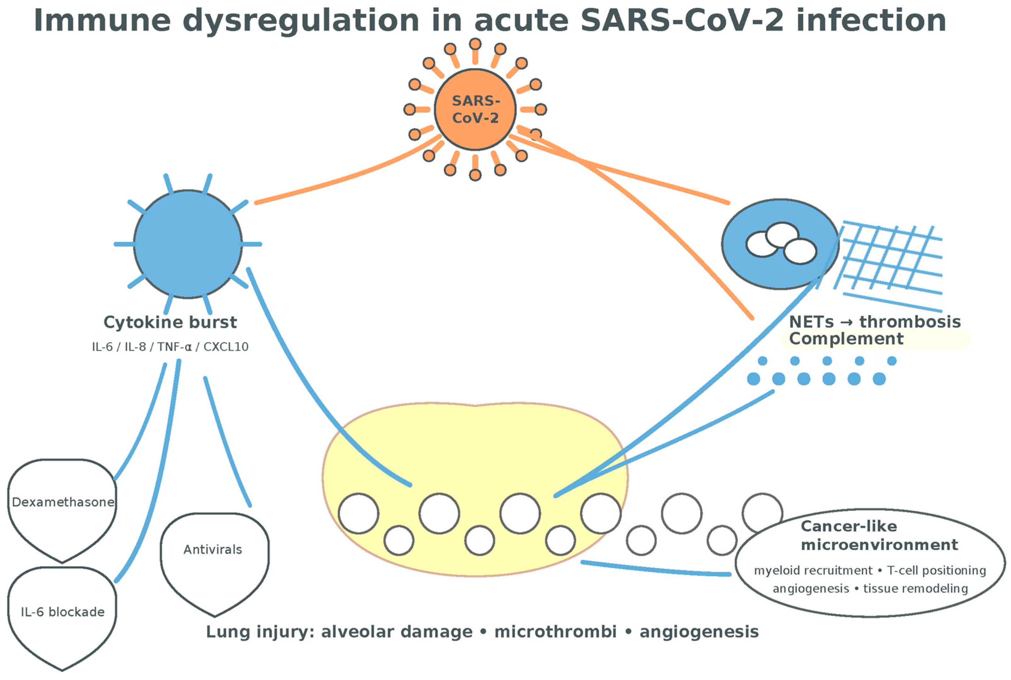Medsci 13 00295 g006 Medsci 13 00295 g006