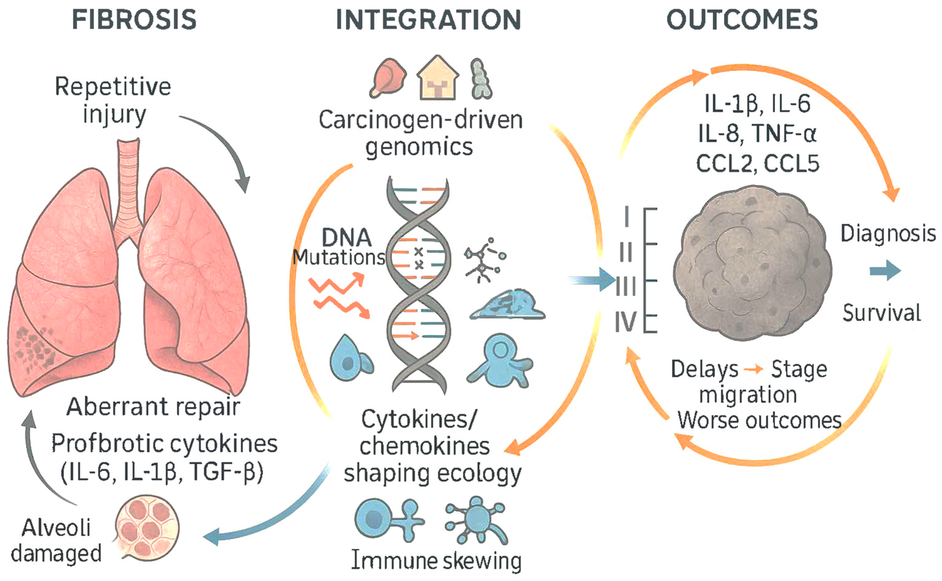 Medsci 13 00295 g007 Medsci 13 00295 g007