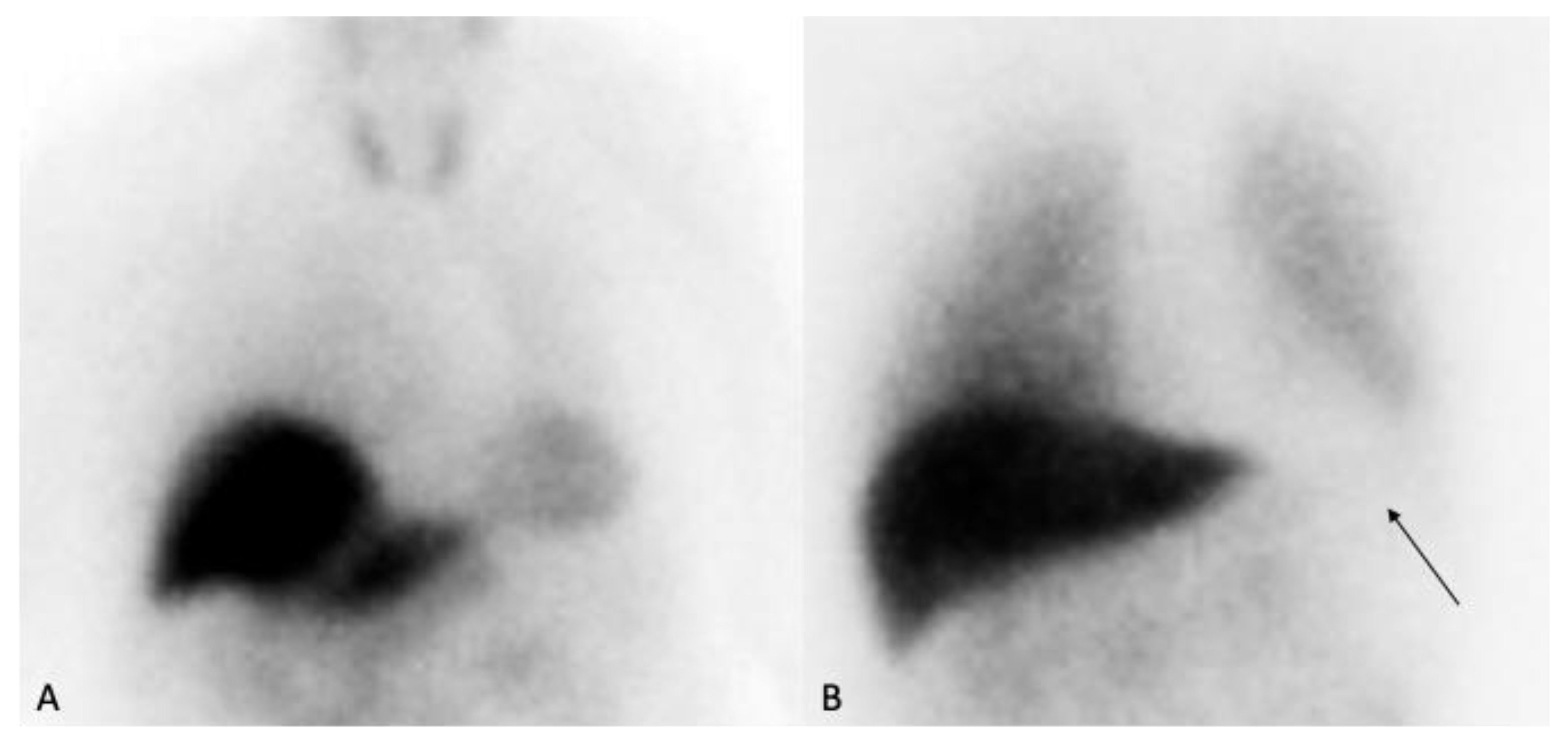 Medsci 13 00308 g004 Medsci 13 00308 g004