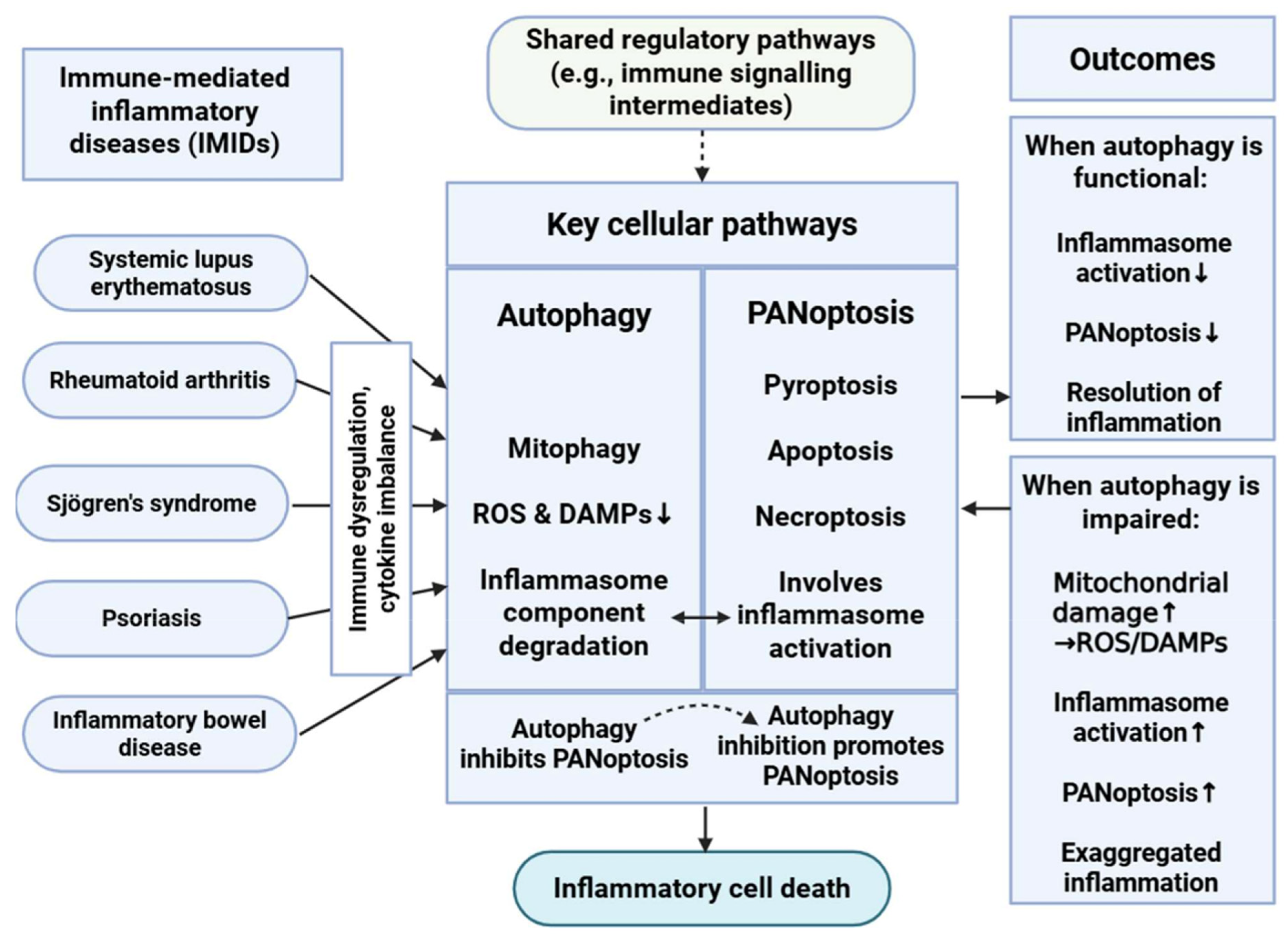 Medsci 13 00310 g002 Medsci 13 00310 g002