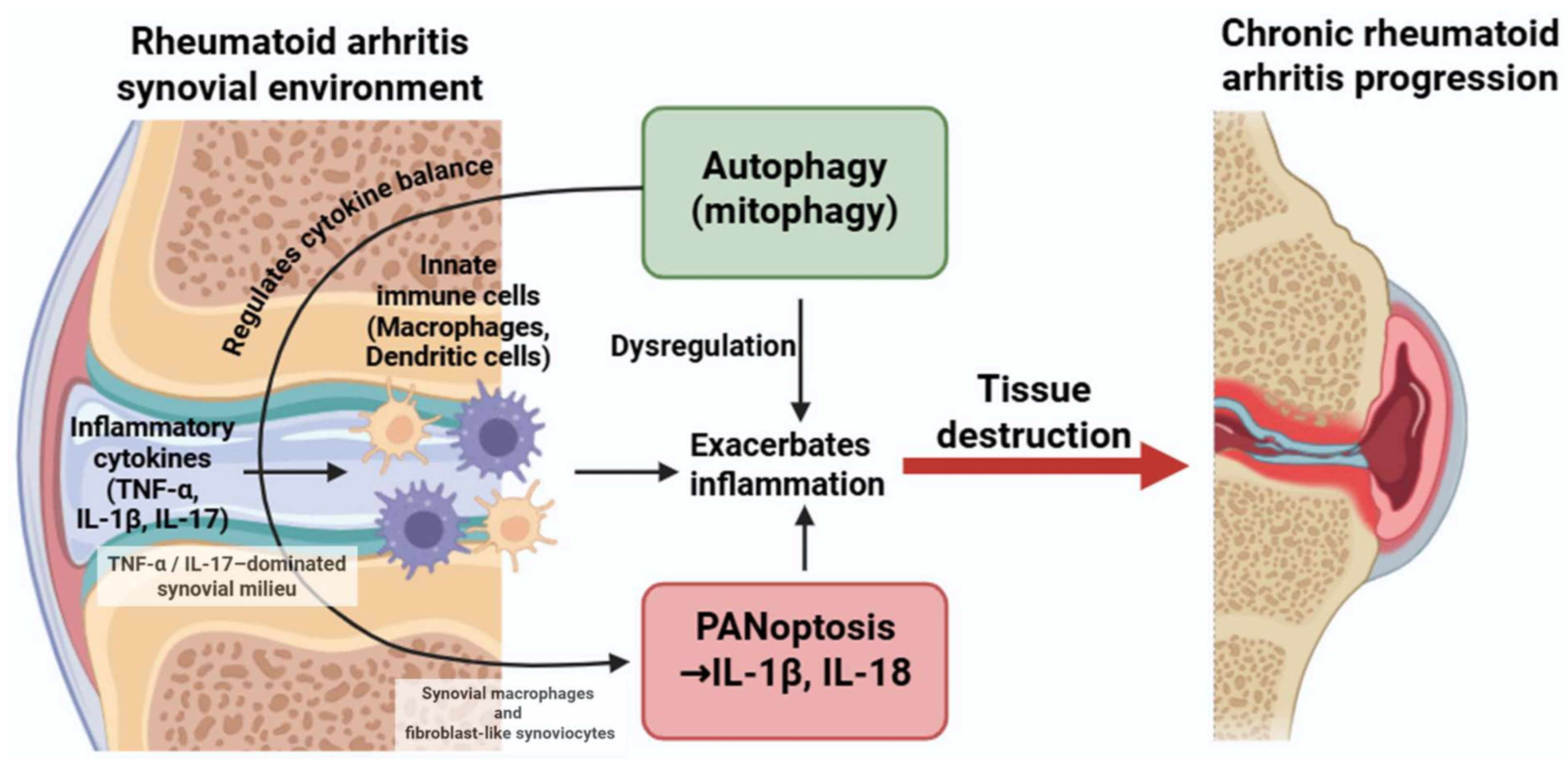 Medsci 13 00310 g004 Medsci 13 00310 g004