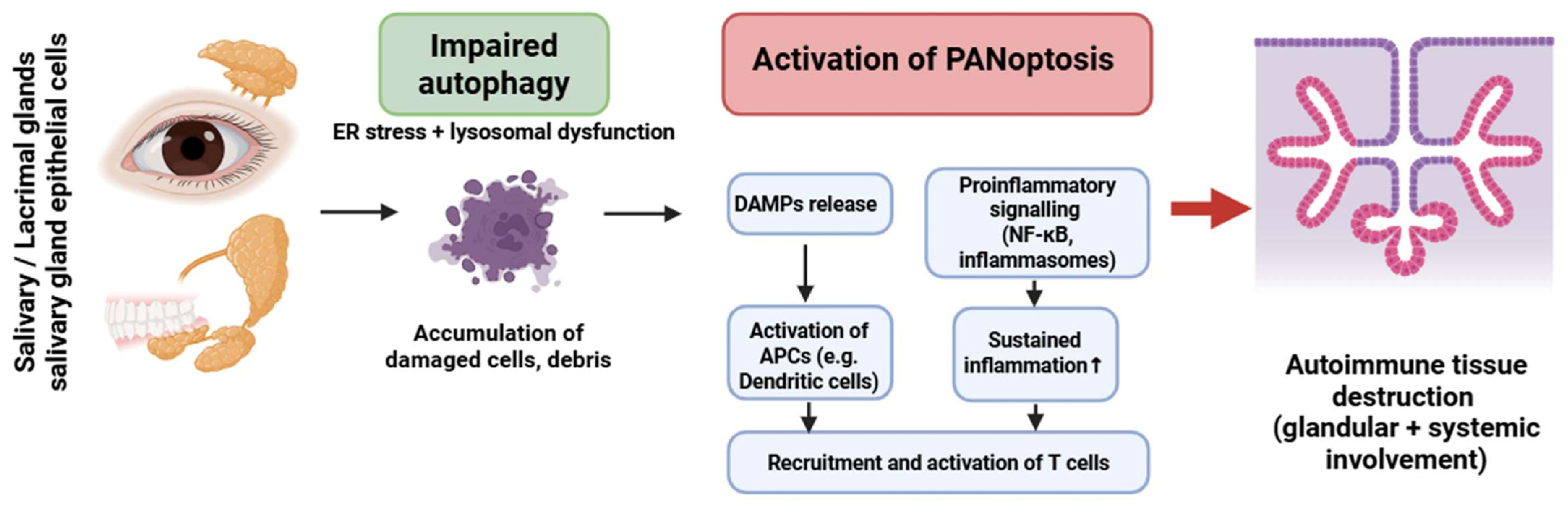 Medsci 13 00310 g005 Medsci 13 00310 g005