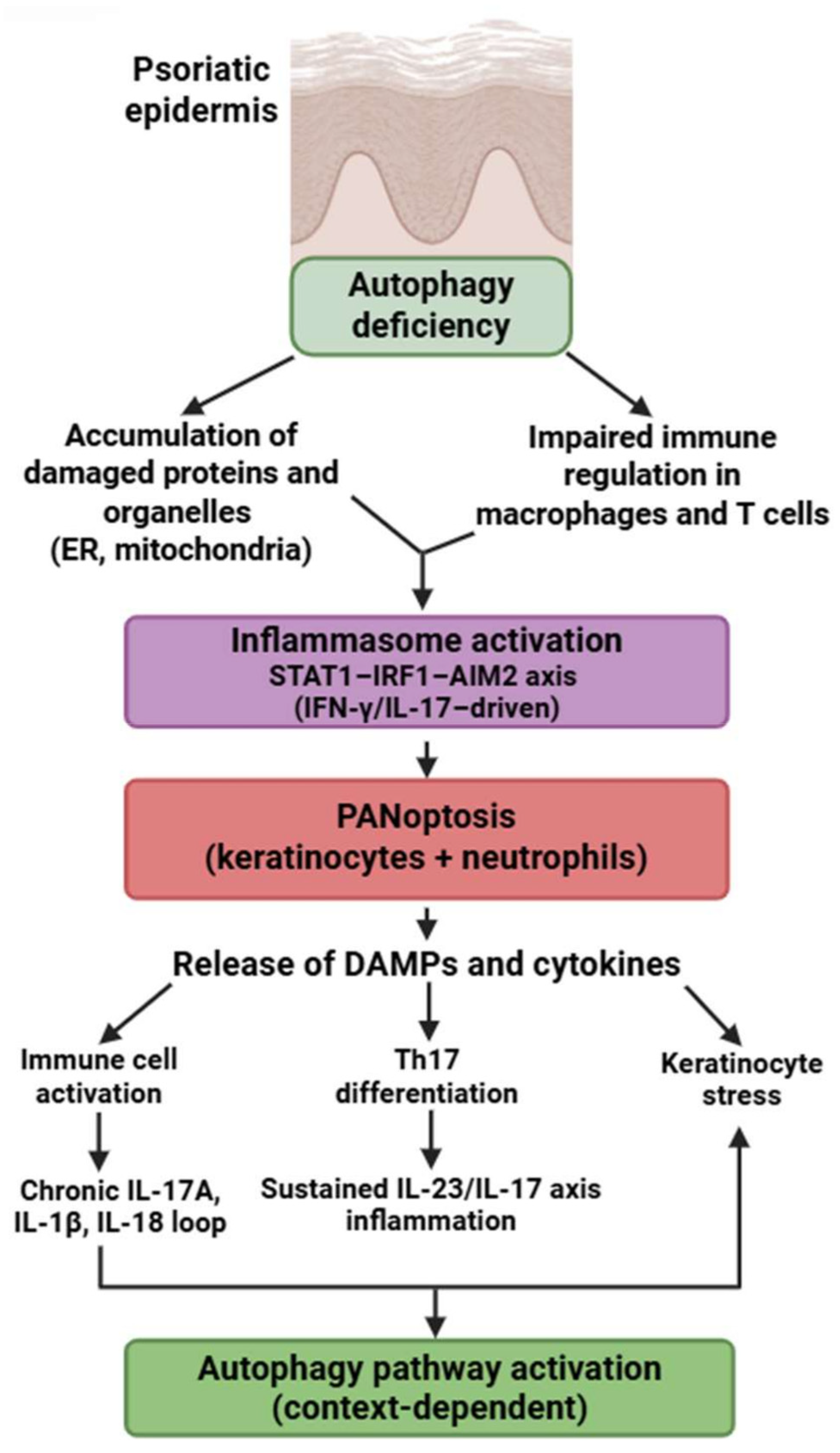 Medsci 13 00310 g006 Medsci 13 00310 g006