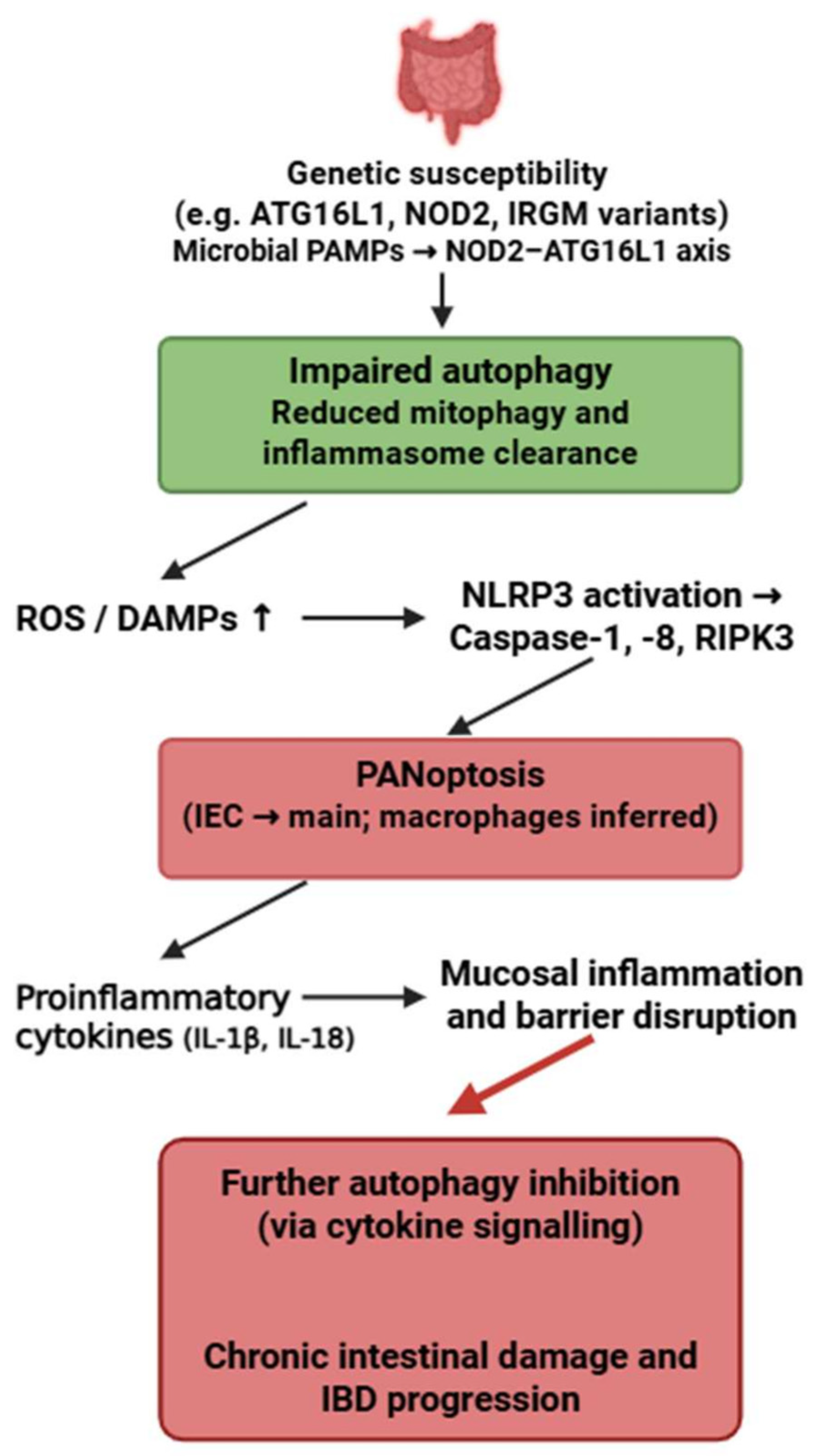 Medsci 13 00310 g007 Medsci 13 00310 g007