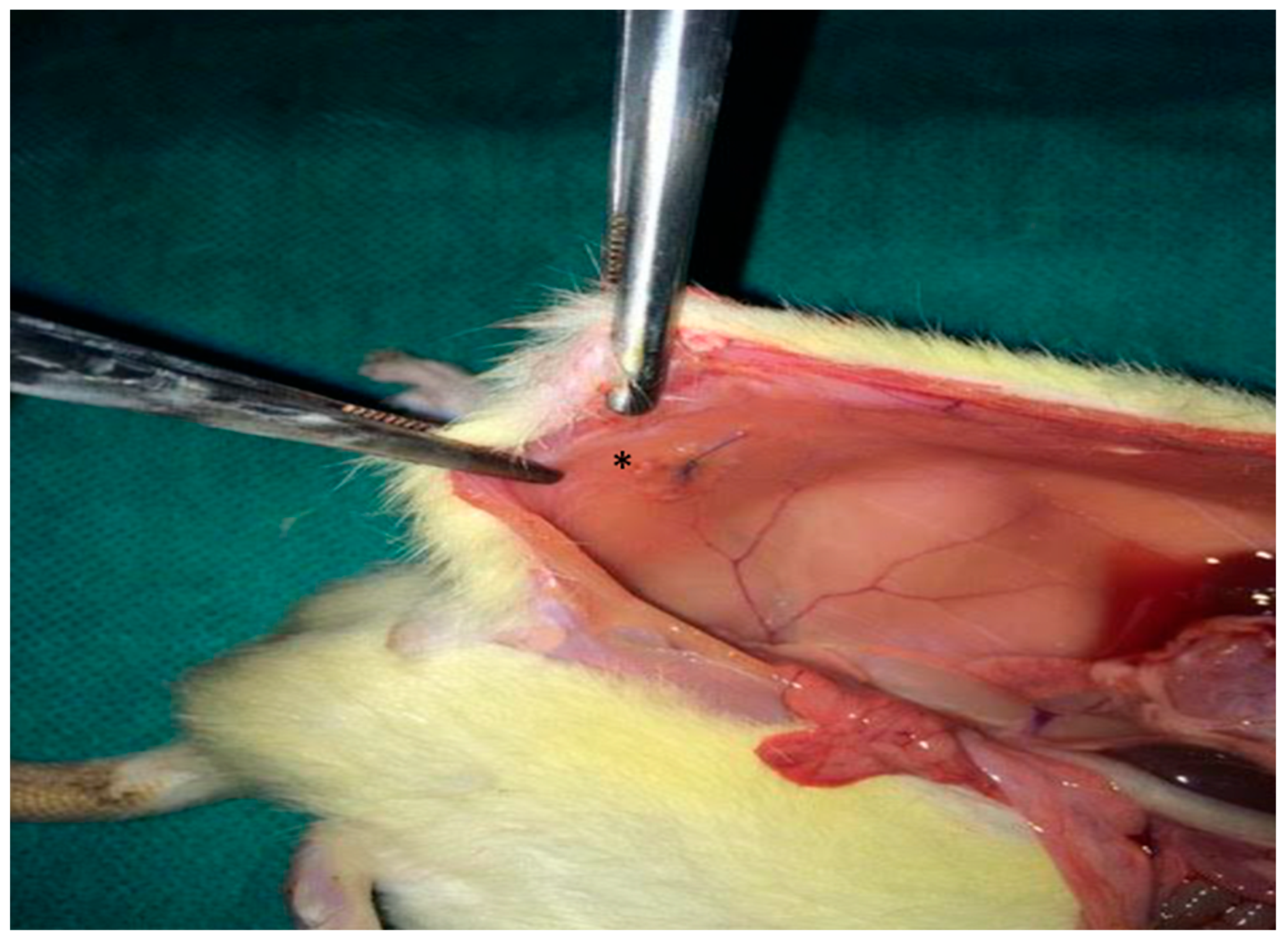 Medsci 13 00318 g001