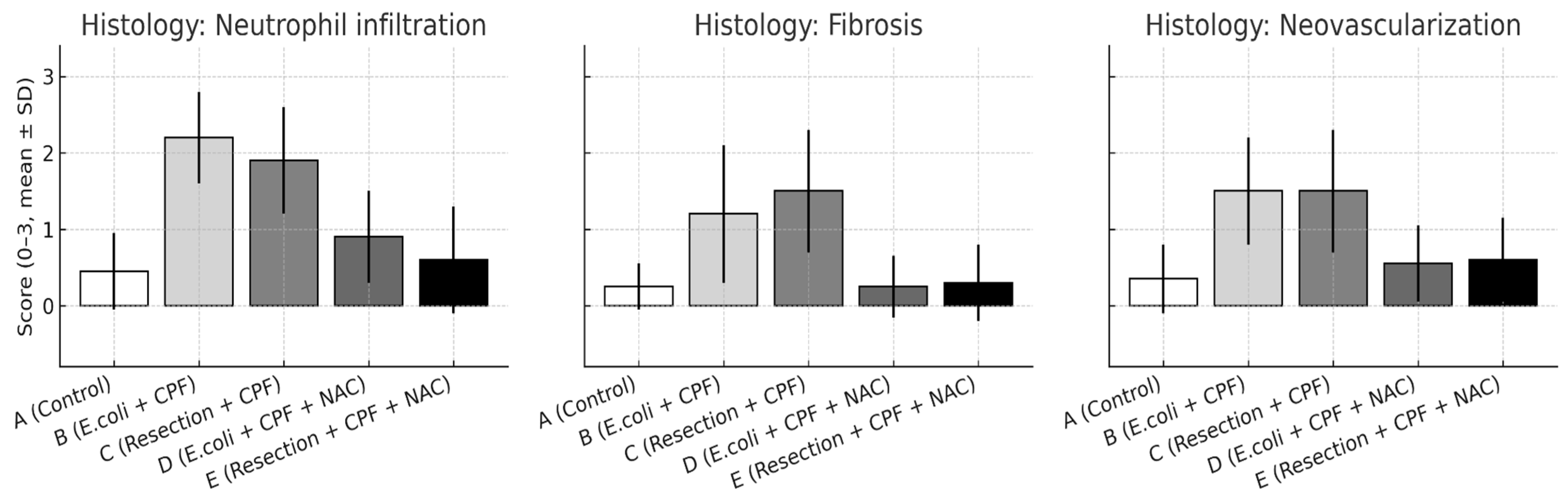 Medsci 13 00318 g004