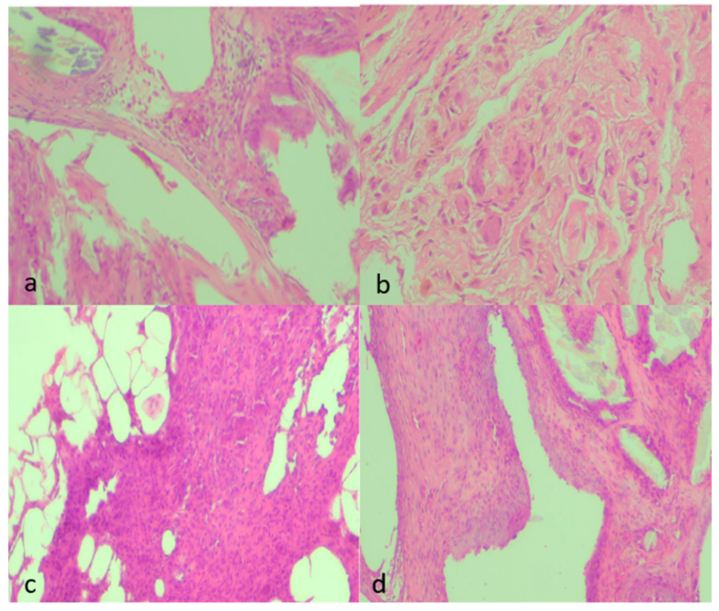 Medsci 13 00318 g006