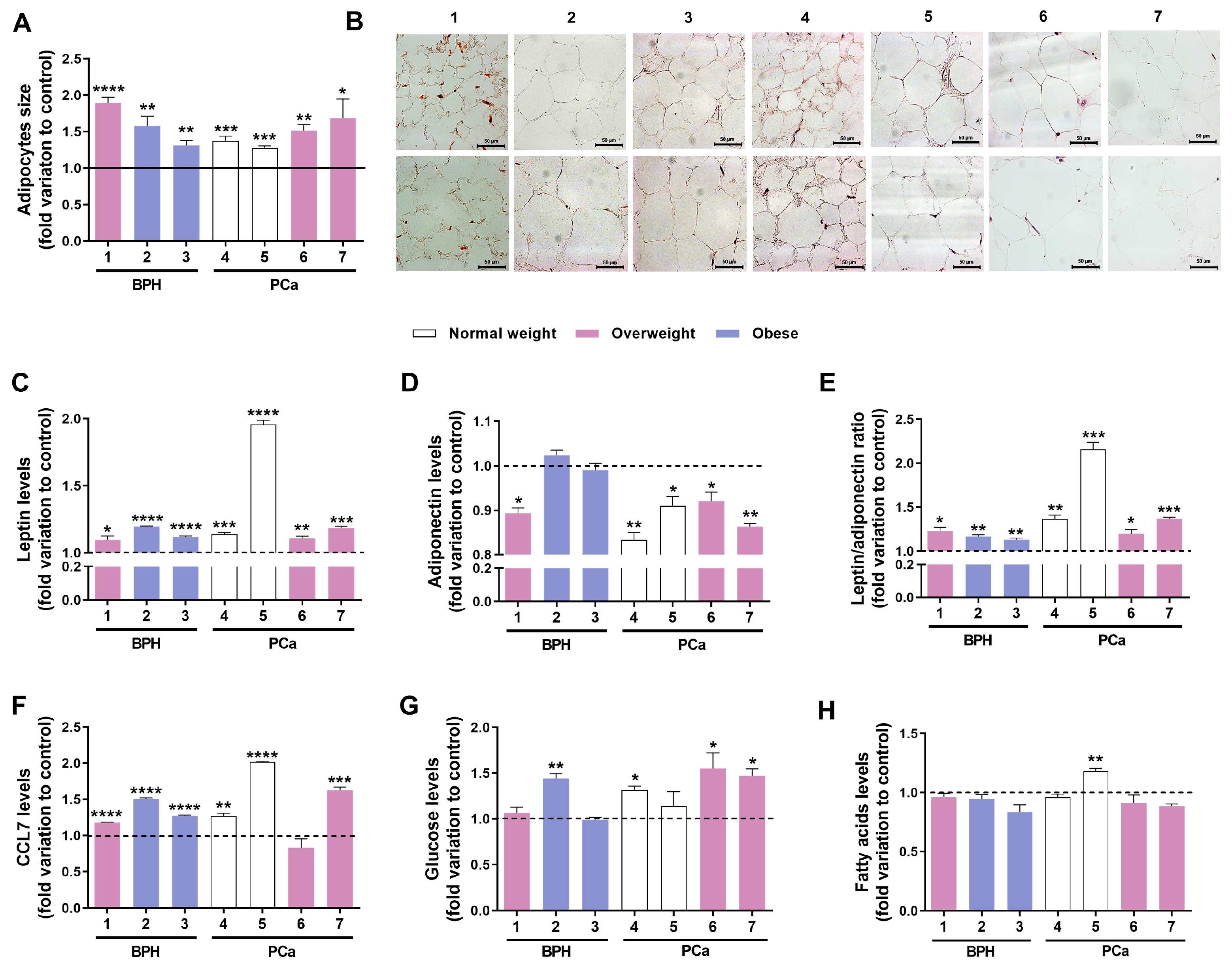 Medsci 13 00322 g004 Medsci 13 00322 g004