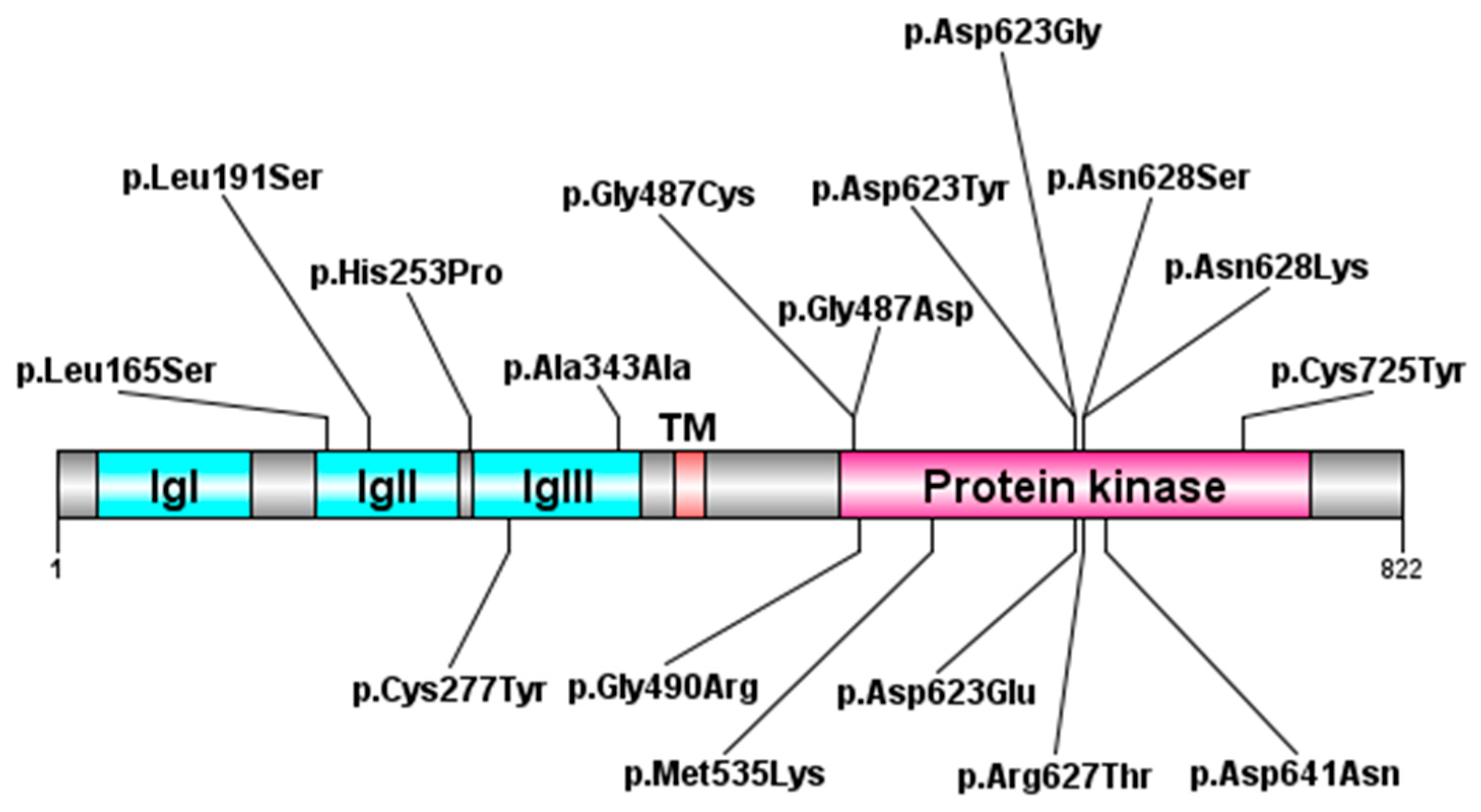 Medsci 14 00004 g004 Medsci 14 00004 g004