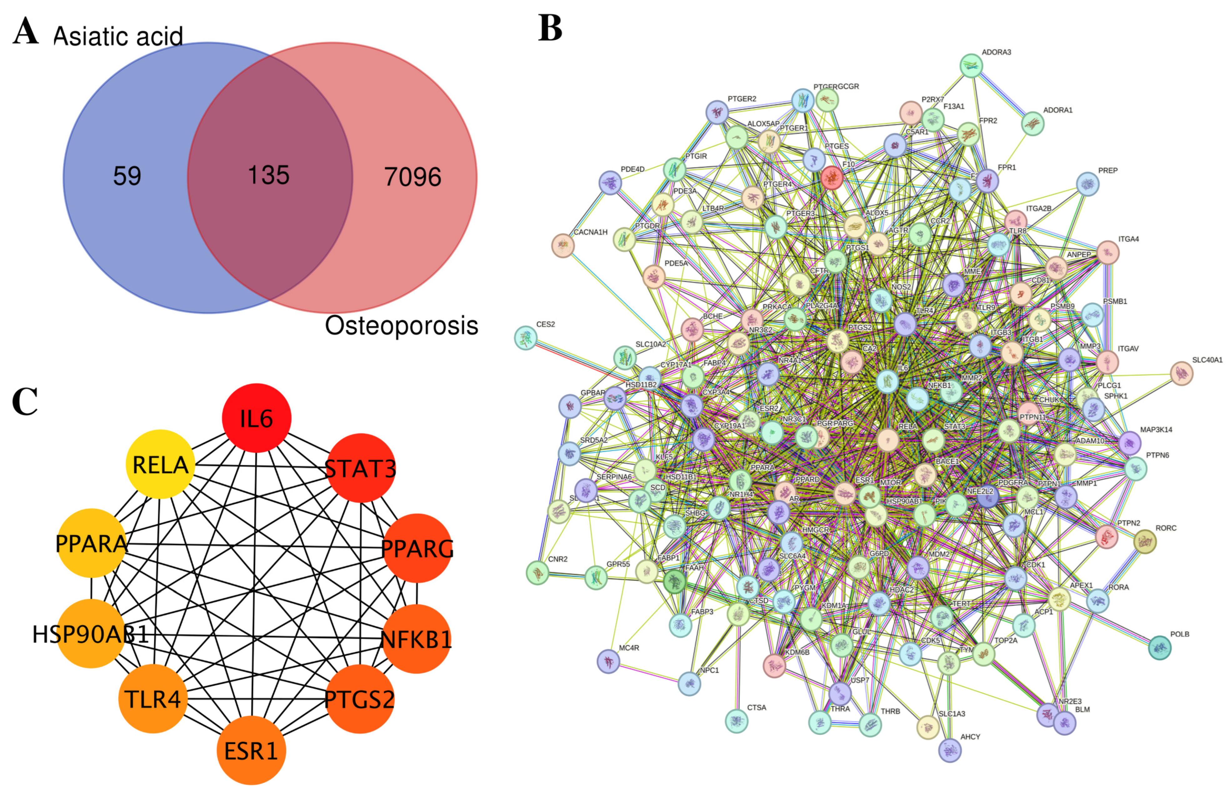 Medsci 14 00041 g002
