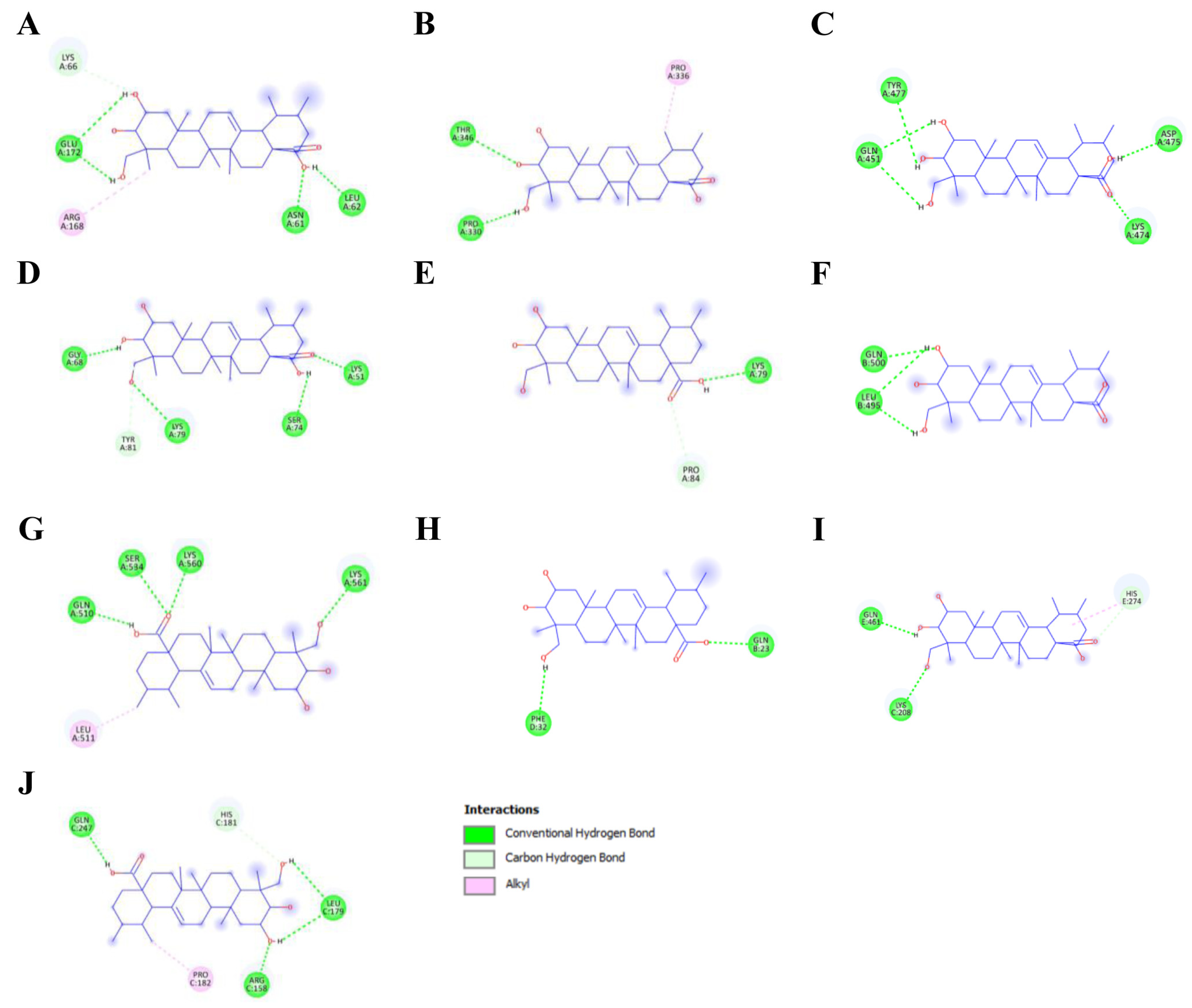 Medsci 14 00041 g004