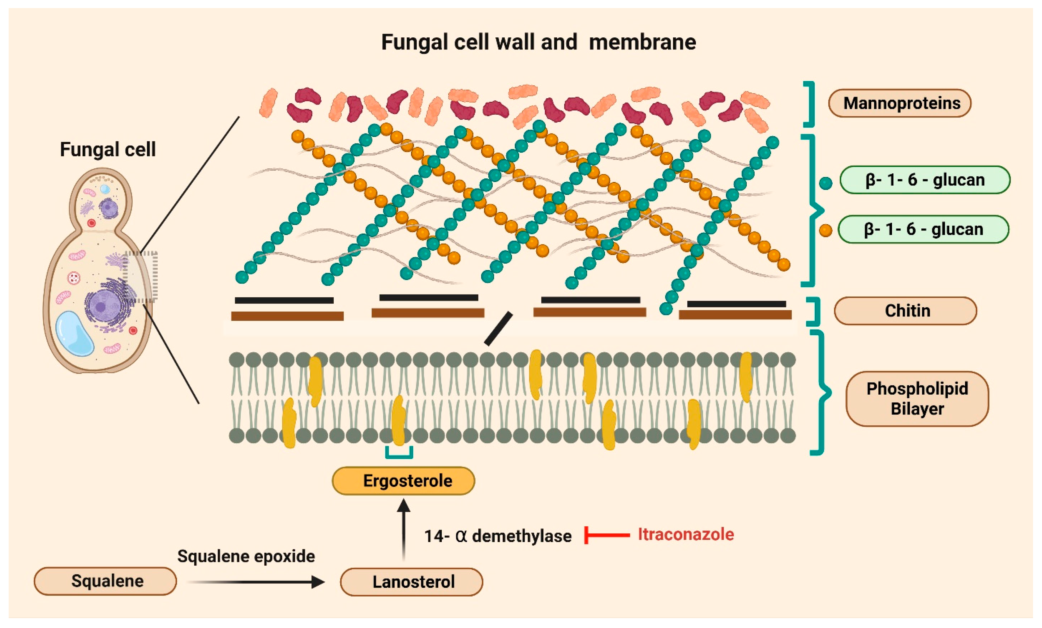 Medsci 14 00055 g001 Medsci 14 00055 g001