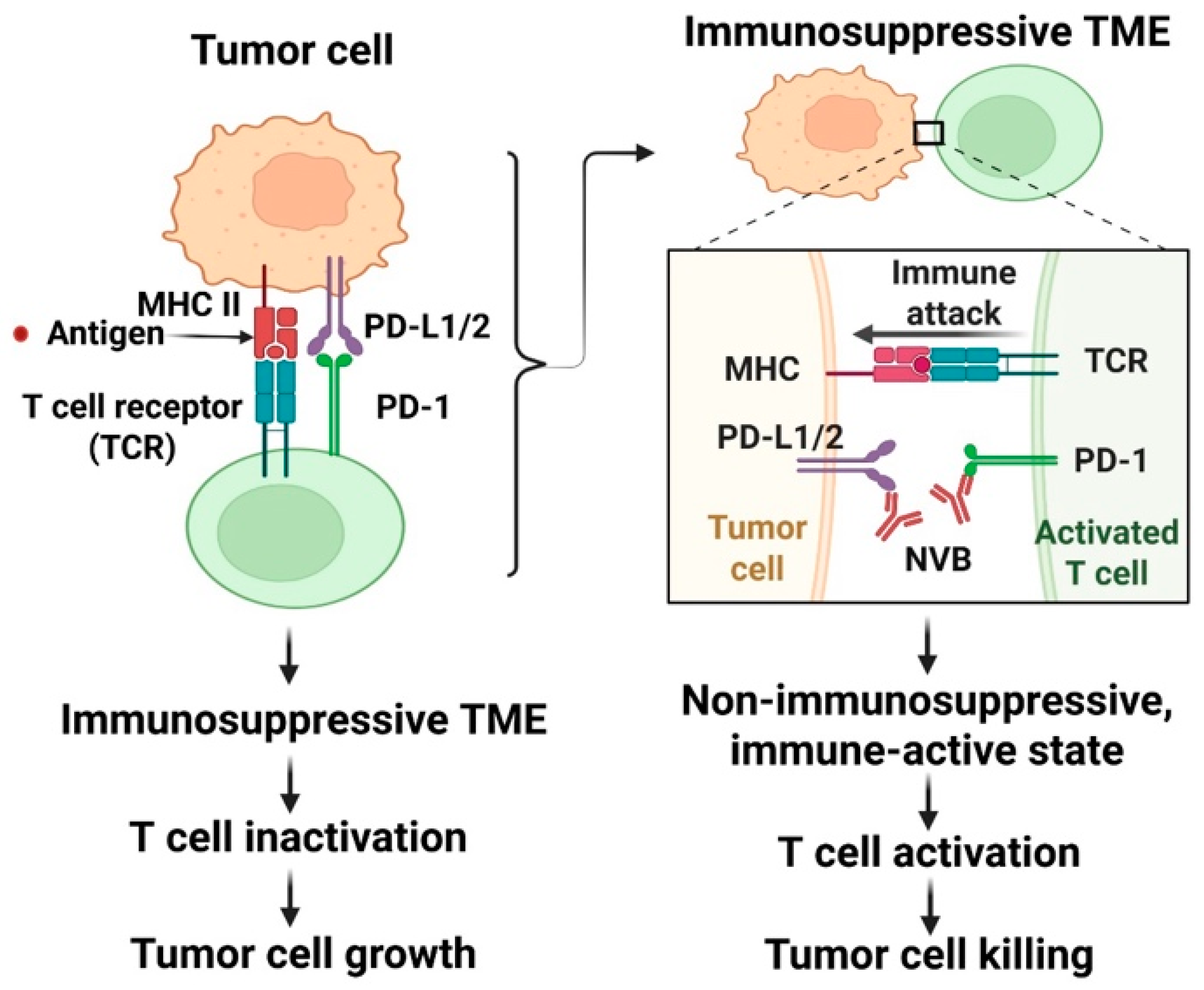 Medsci 14 00055 g002 Medsci 14 00055 g002