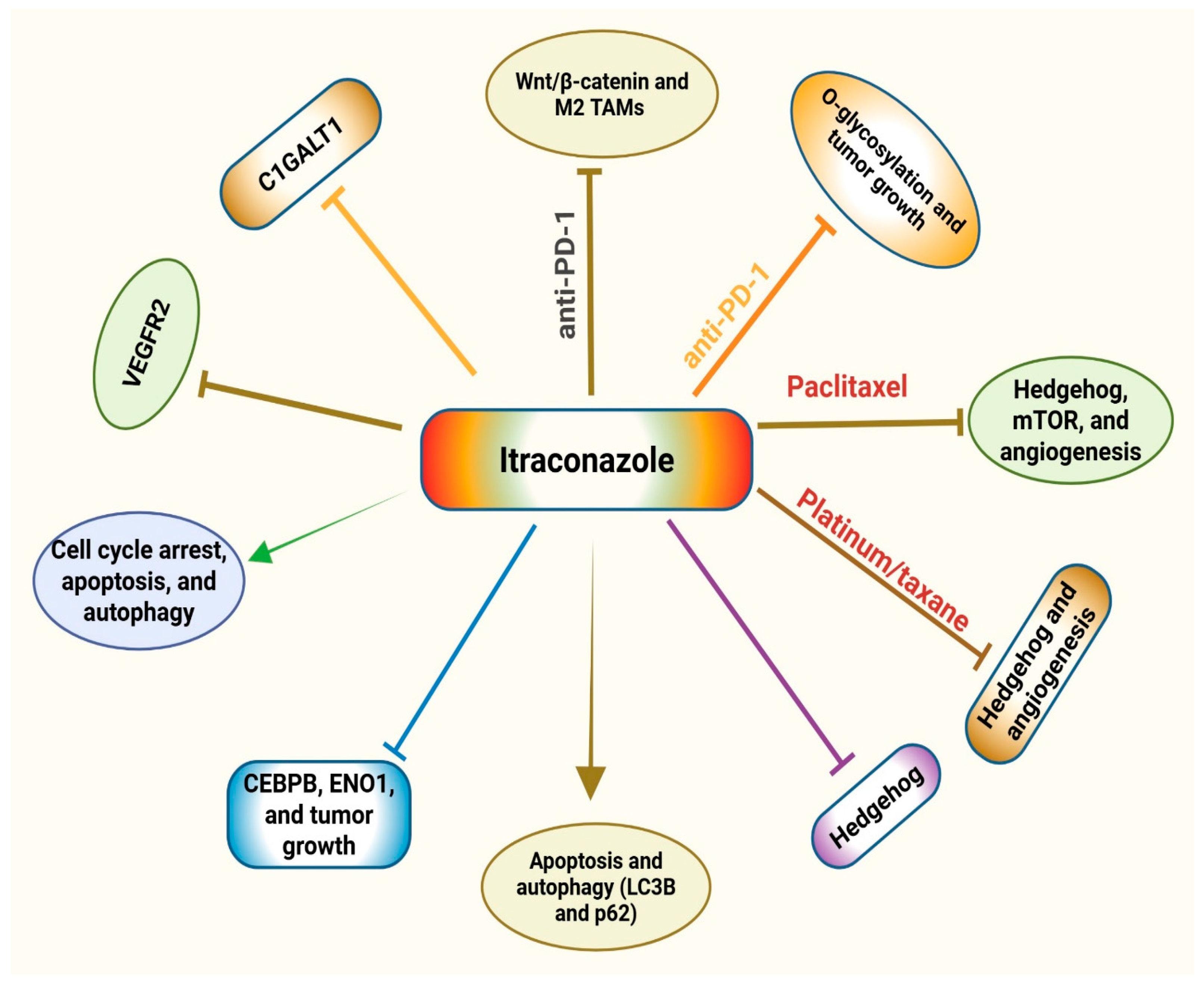 Medsci 14 00055 g003 Medsci 14 00055 g003