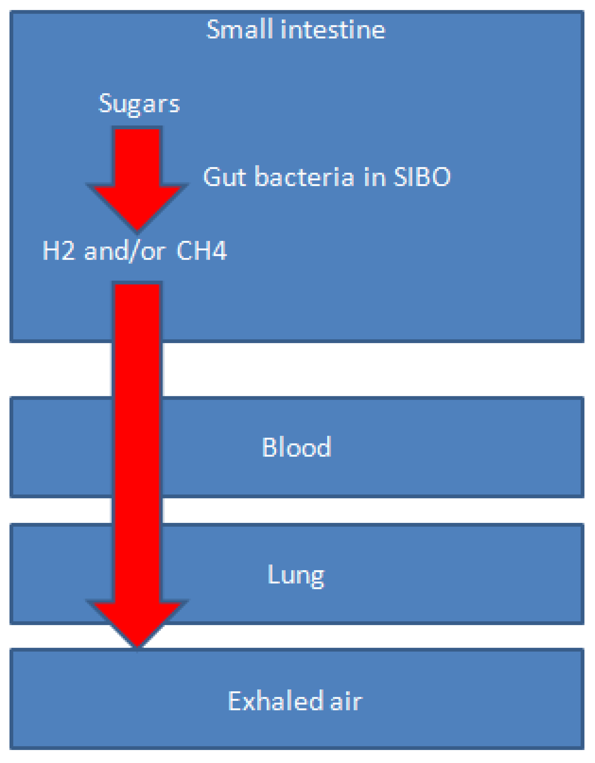 Medsci 14 00300 g001