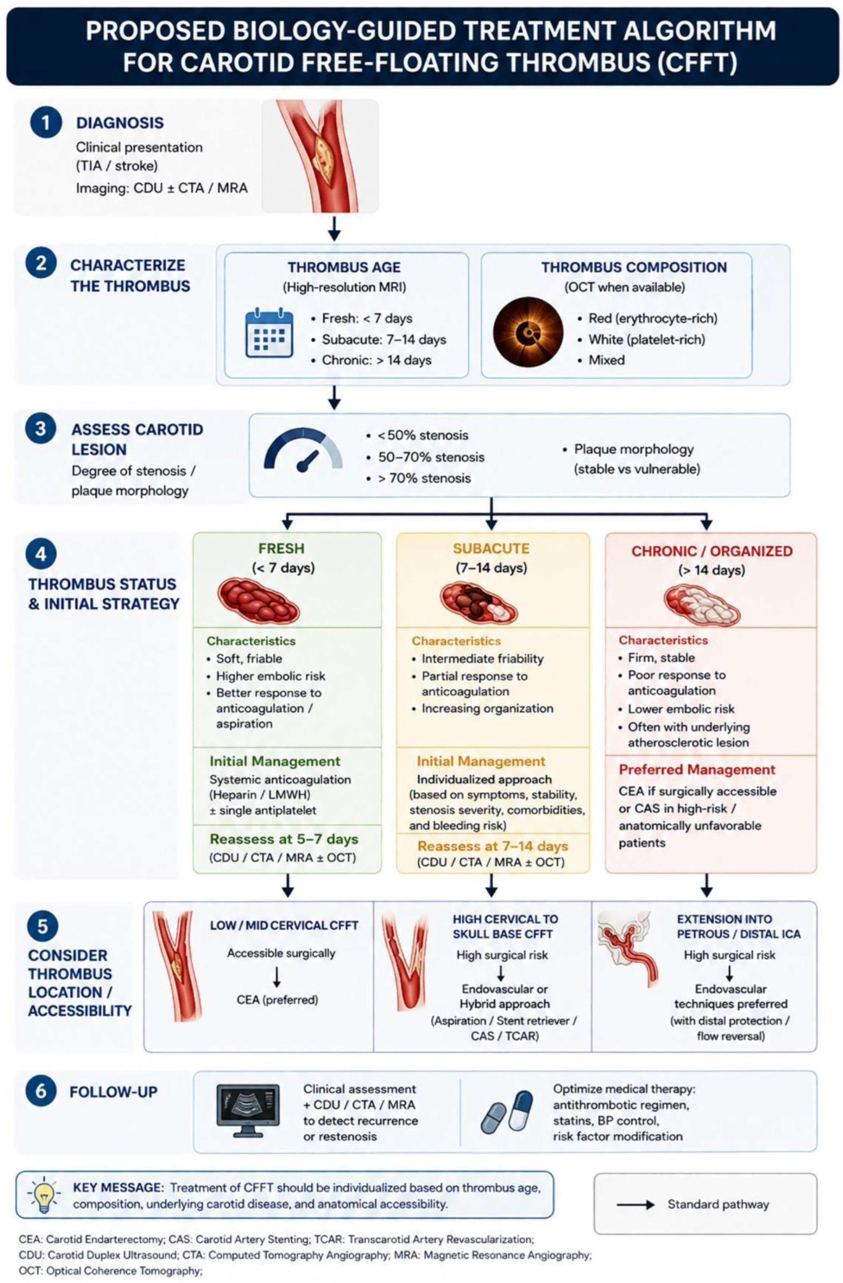 Medsci 14 00457 g005
