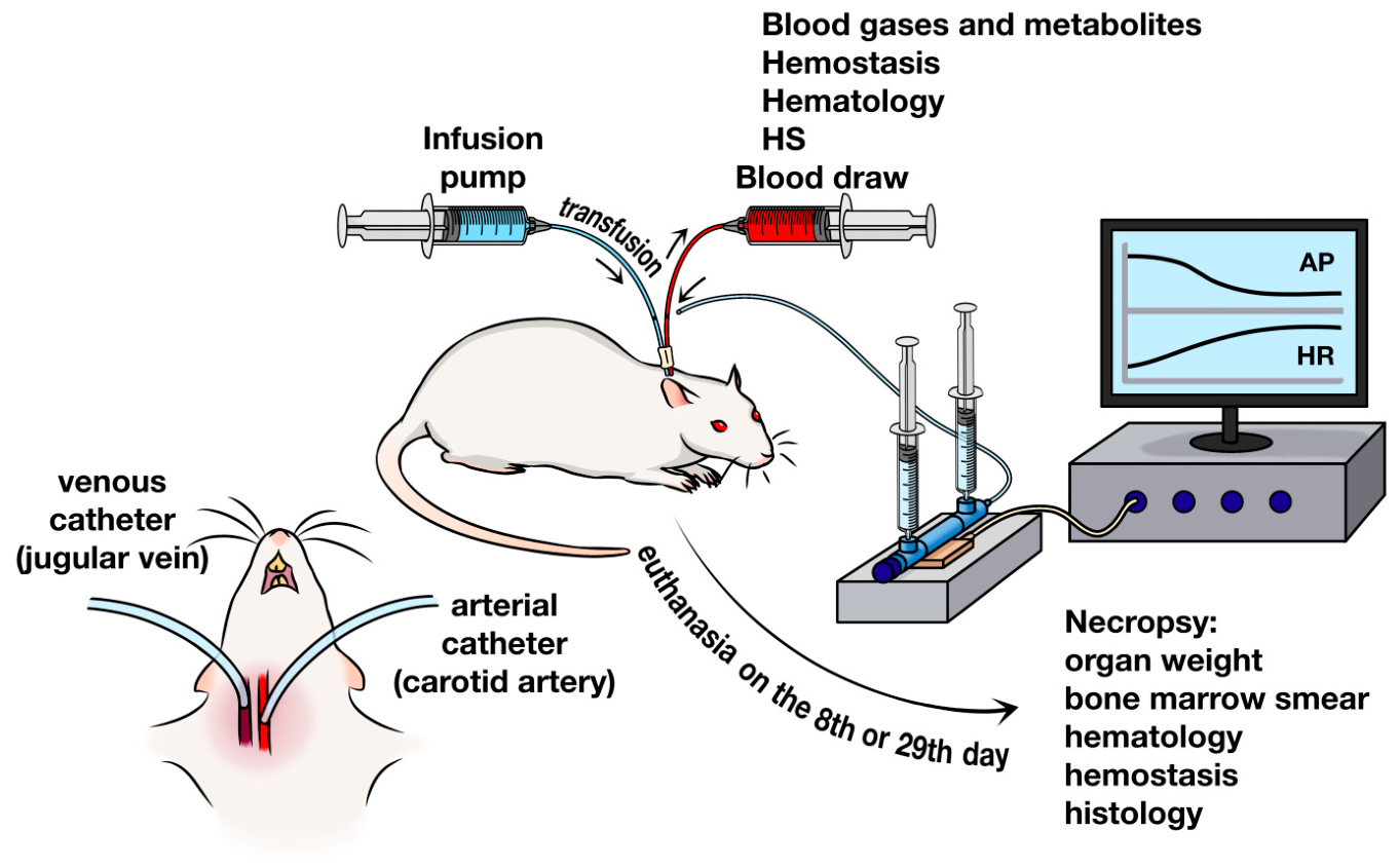 Medsci 14 00587 g001 Medsci 14 00587 g001