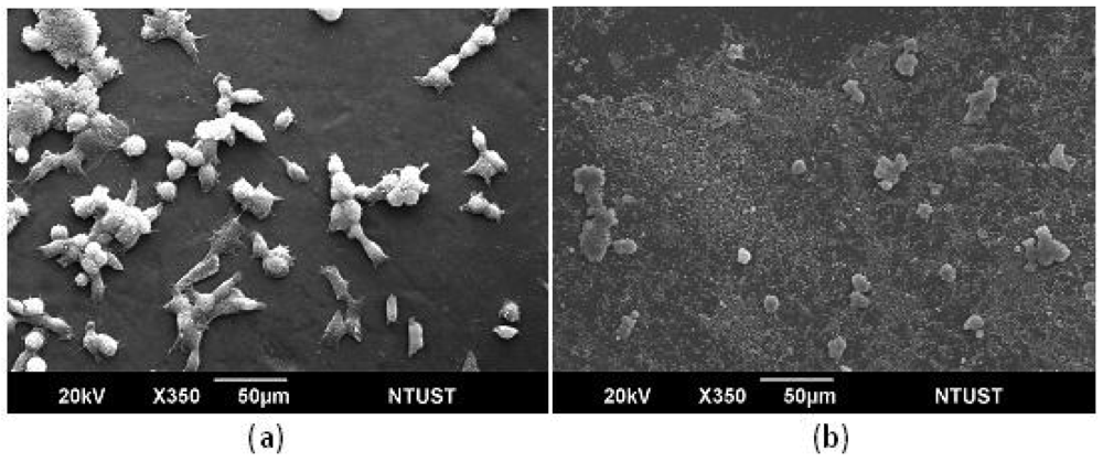 Membranes 01 00003f3 1024
