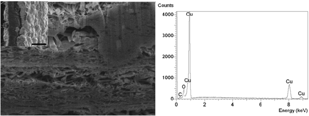 Membranes 01 00025f3 1024
