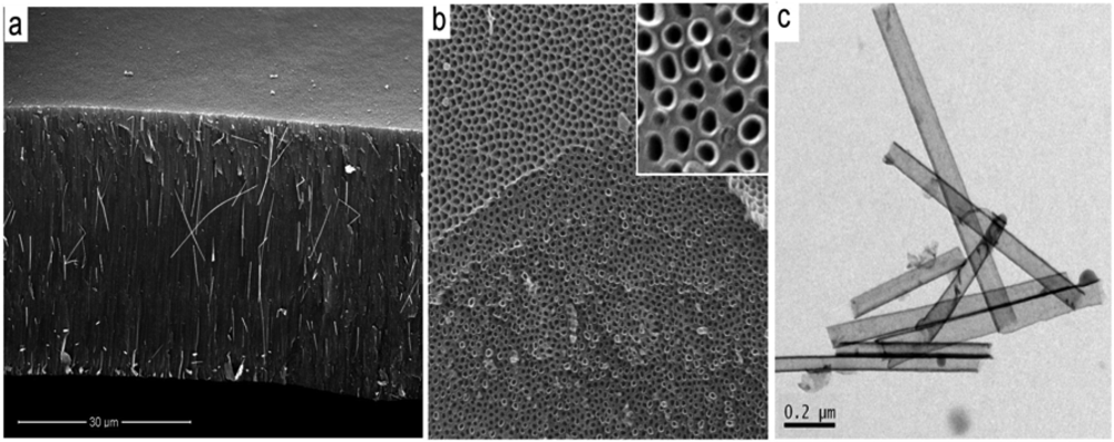 Membranes 01 00037f5 1024
