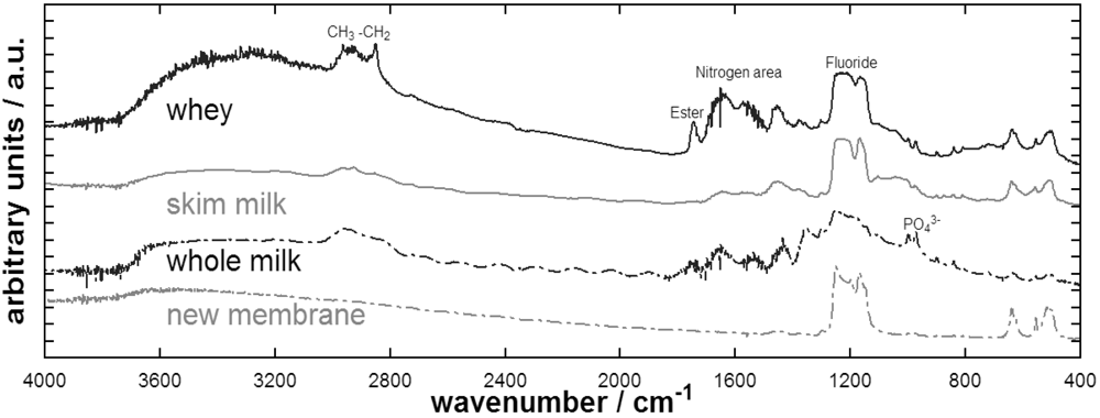 Membranes 01 00048f8 1024
