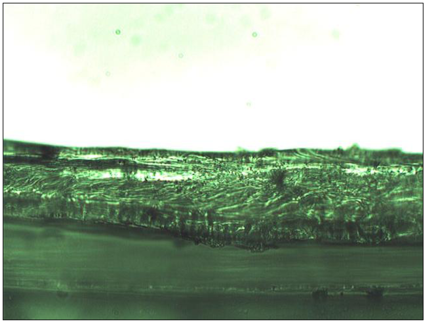 Membranes 01 00132f2 1024