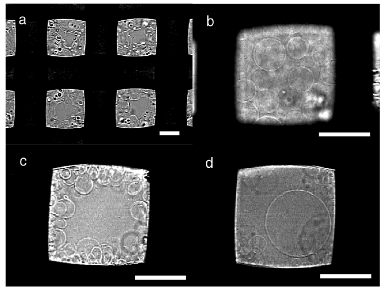 Membranes 01 00184f2 1024