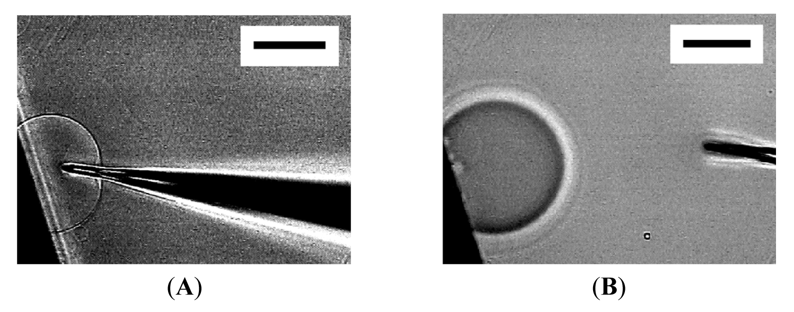 Membranes 01 00265f2 1024