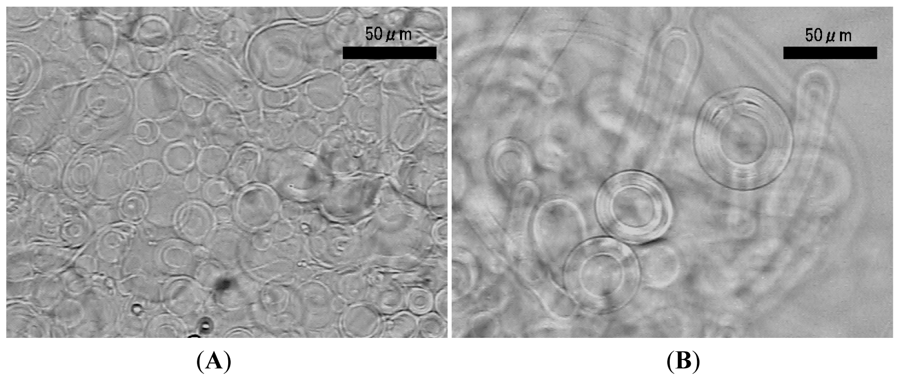 Membranes 01 00345f5 1024